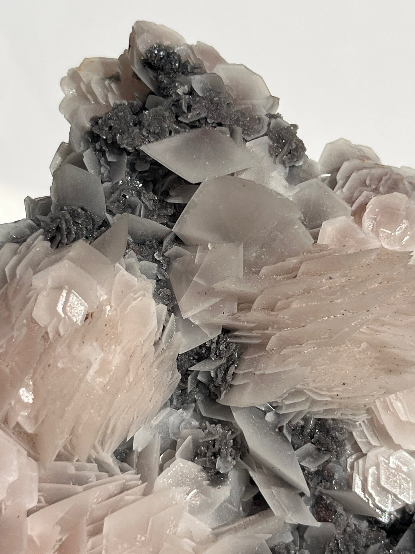 "The Queen of the Night" Pink Sakura Blossom Calcite on Quartz Coated Matrix Specimen with Custom Stand (Collector' Choice)