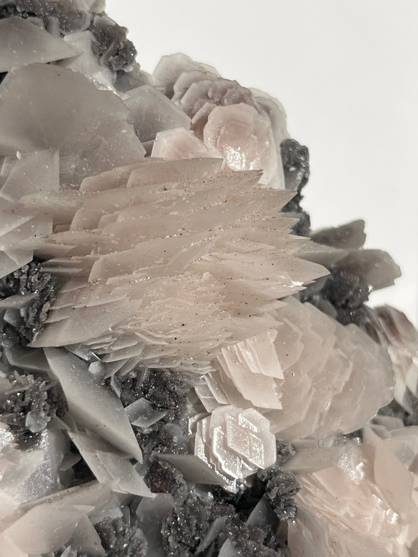 "The Queen of the Night" Pink Sakura Blossom Calcite on Quartz Coated Matrix Specimen with Custom Stand (Collector' Choice)