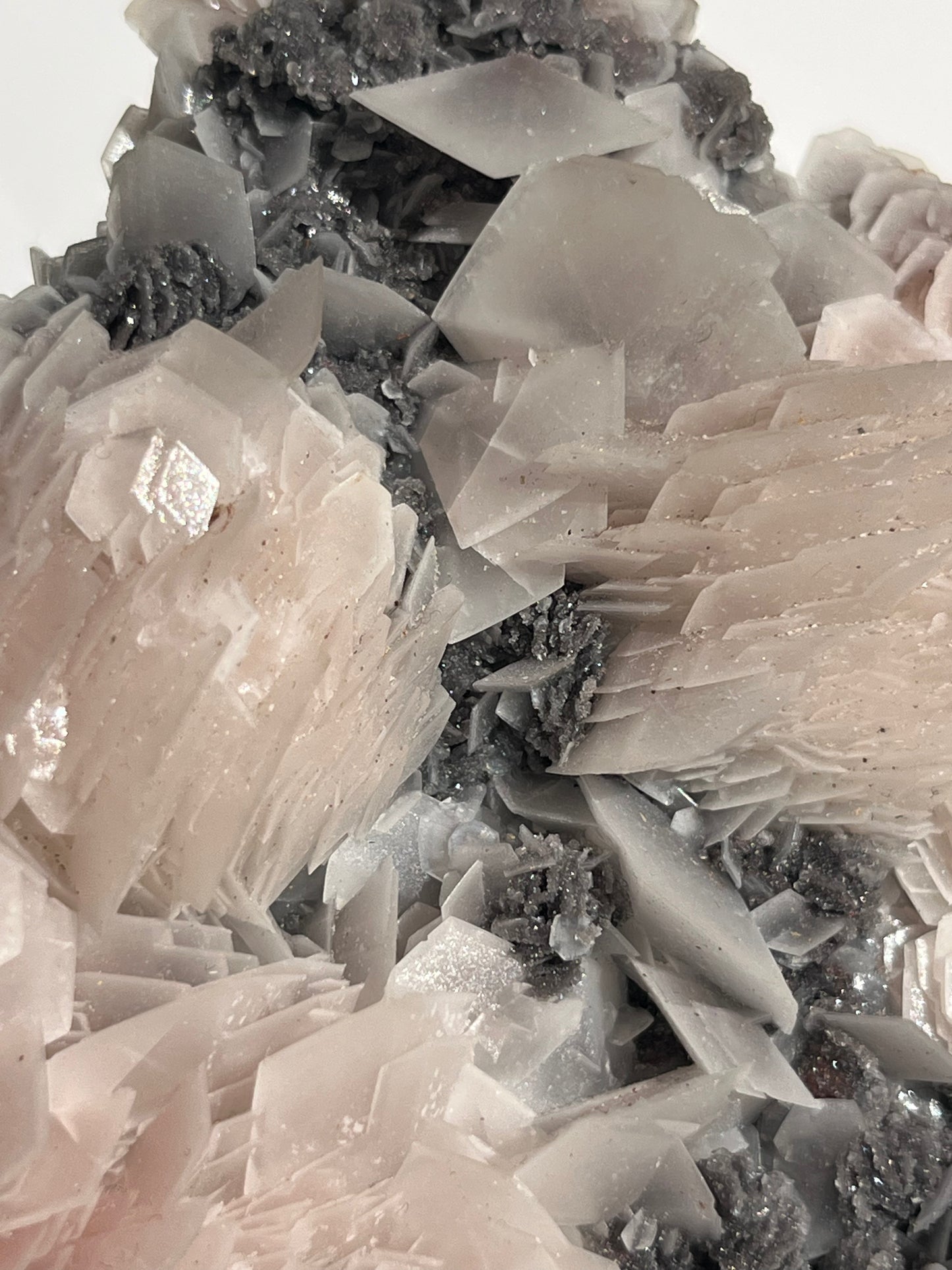 "The Queen of the Night" Pink Sakura Blossom Calcite on Quartz Coated Matrix Specimen with Custom Stand (Collector' Choice)