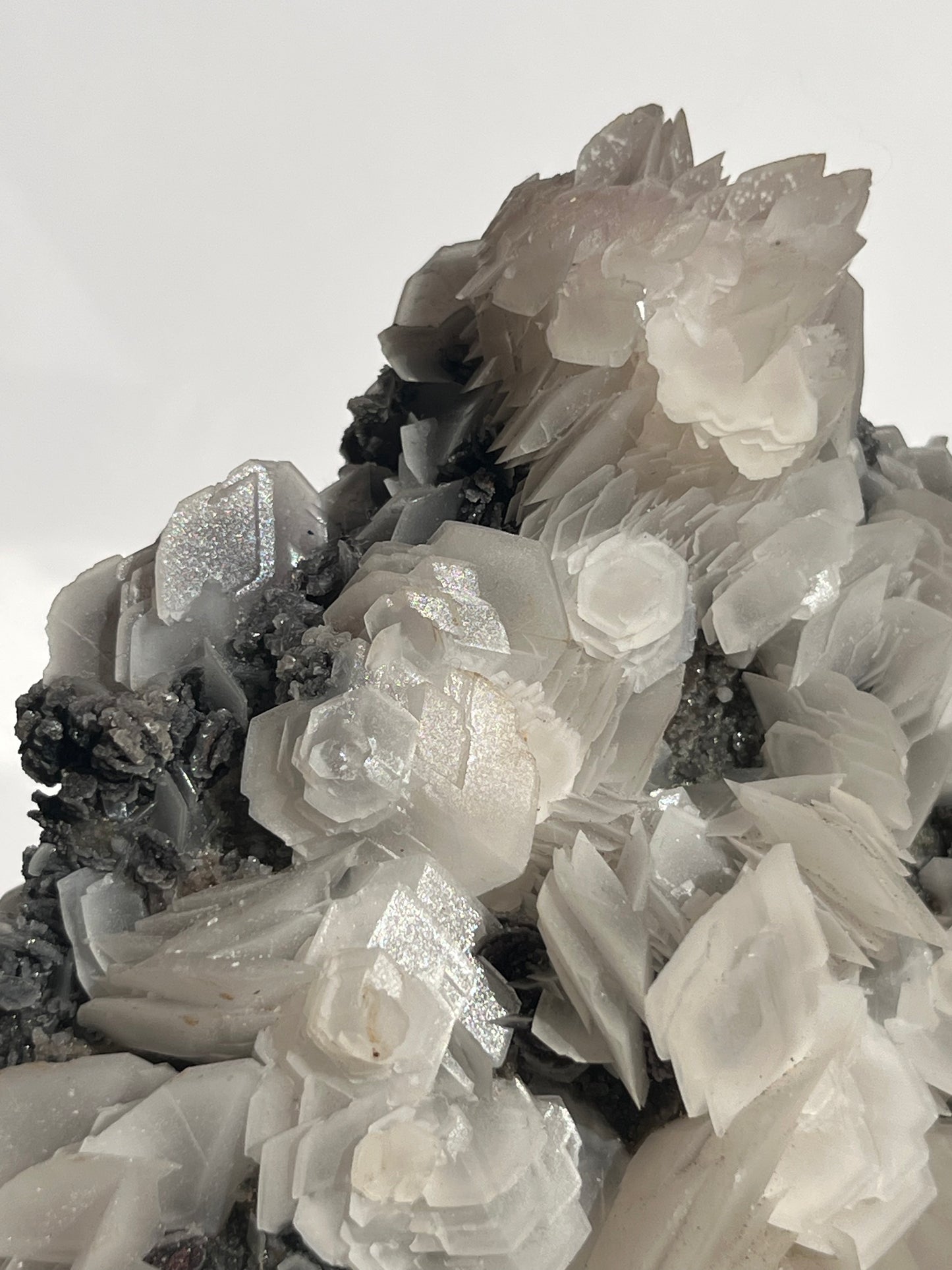 "The Queen of the Night" Pink Sakura Blossom Calcite on Quartz Coated Matrix Specimen with Custom Stand (Collector' Choice)