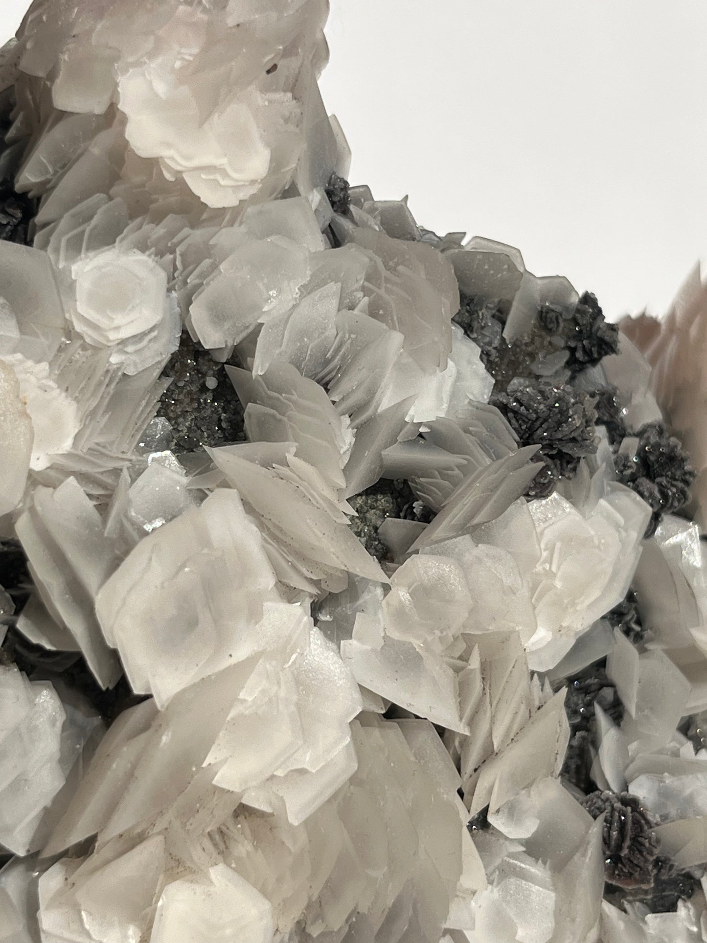 "The Queen of the Night" Pink Sakura Blossom Calcite on Quartz Coated Matrix Specimen with Custom Stand (Collector' Choice)