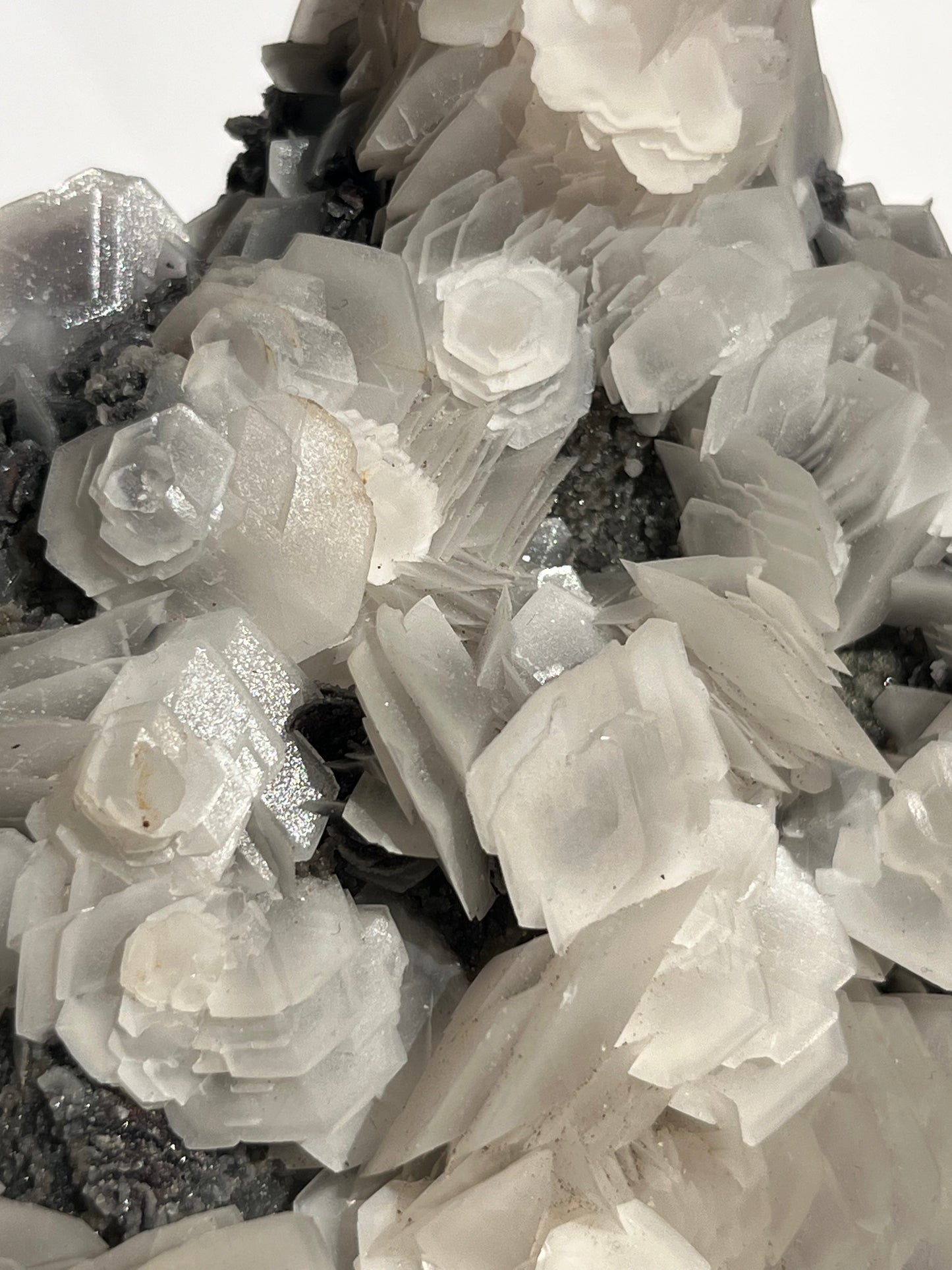 "The Queen of the Night" Pink Sakura Blossom Calcite on Quartz Coated Matrix Specimen with Custom Stand (Collector' Choice)