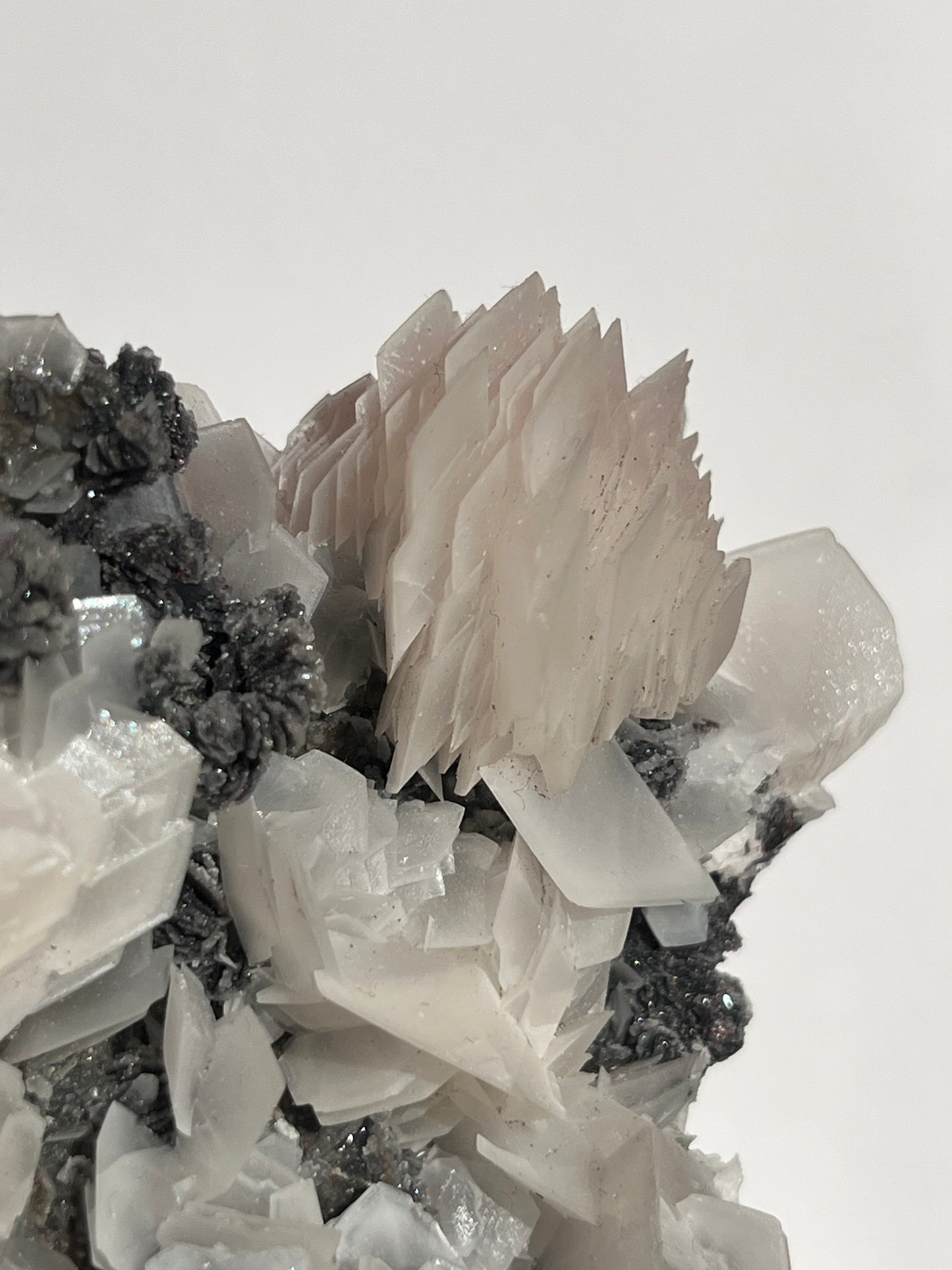 "The Queen of the Night" Pink Sakura Blossom Calcite on Quartz Coated Matrix Specimen with Custom Stand (Collector' Choice)