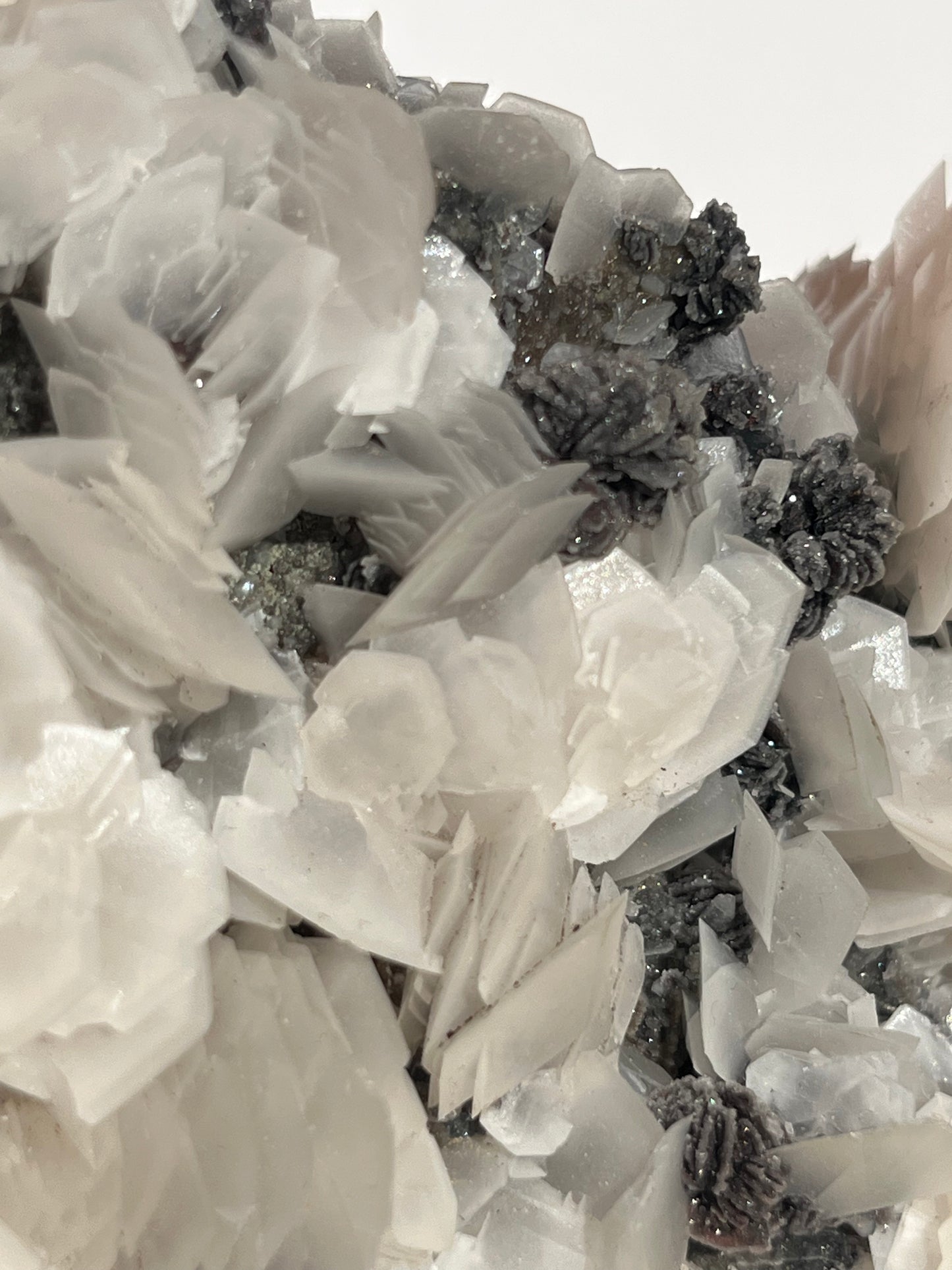 "The Queen of the Night" Pink Sakura Blossom Calcite on Quartz Coated Matrix Specimen with Custom Stand (Collector' Choice)