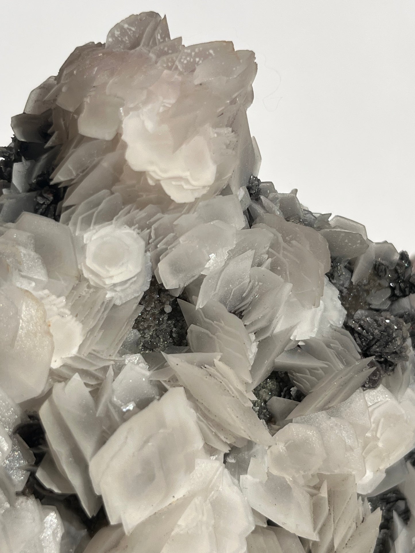 "The Queen of the Night" Pink Sakura Blossom Calcite on Quartz Coated Matrix Specimen with Custom Stand (Collector' Choice)