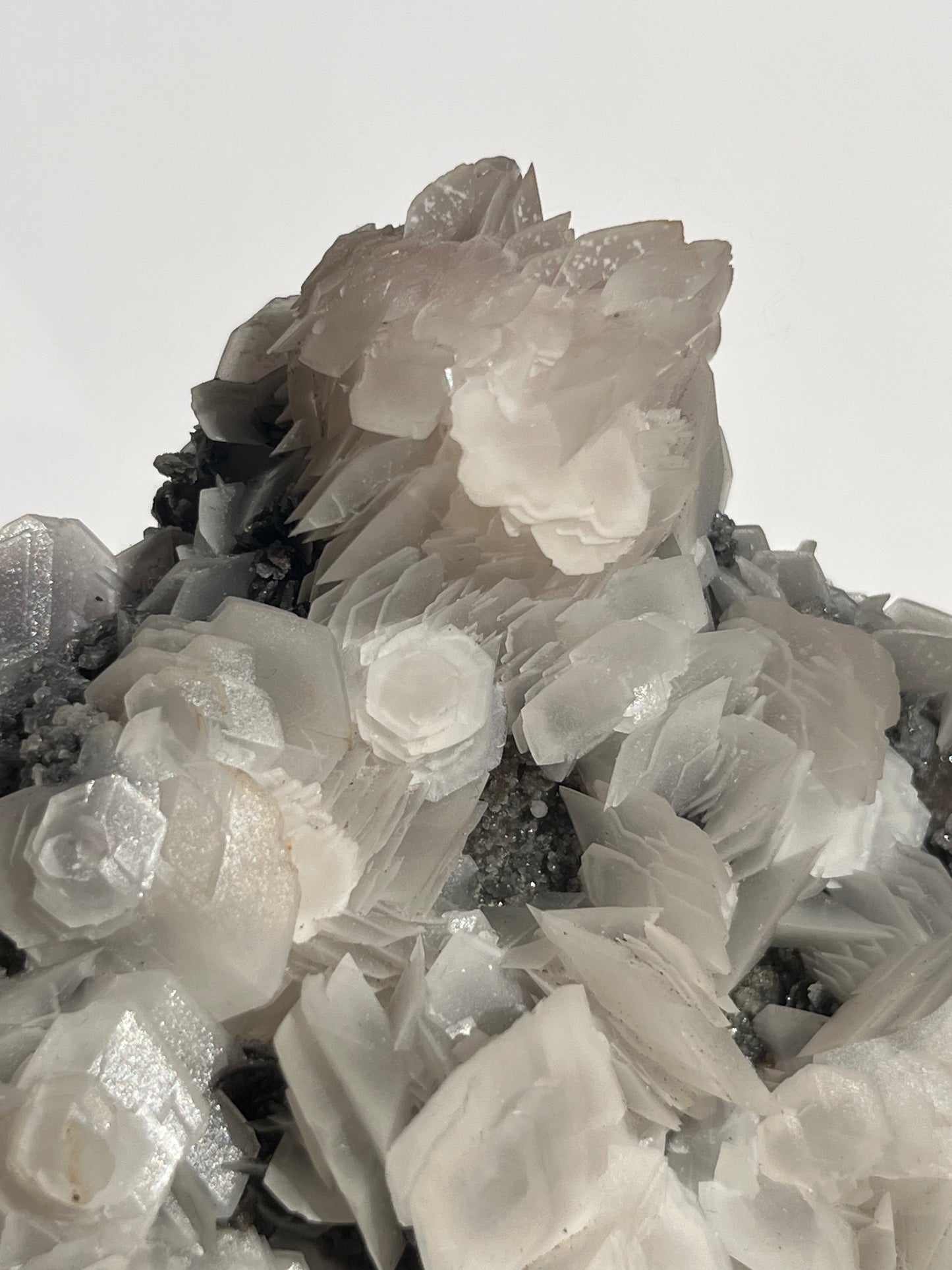 "The Queen of the Night" Pink Sakura Blossom Calcite on Quartz Coated Matrix Specimen with Custom Stand (Collector' Choice)