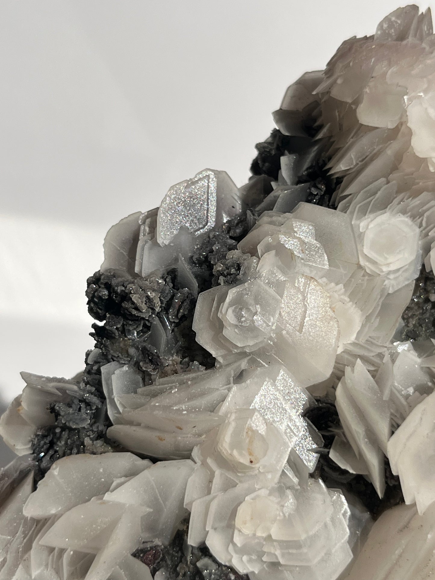 "The Queen of the Night" Pink Sakura Blossom Calcite on Quartz Coated Matrix Specimen with Custom Stand (Collector' Choice)