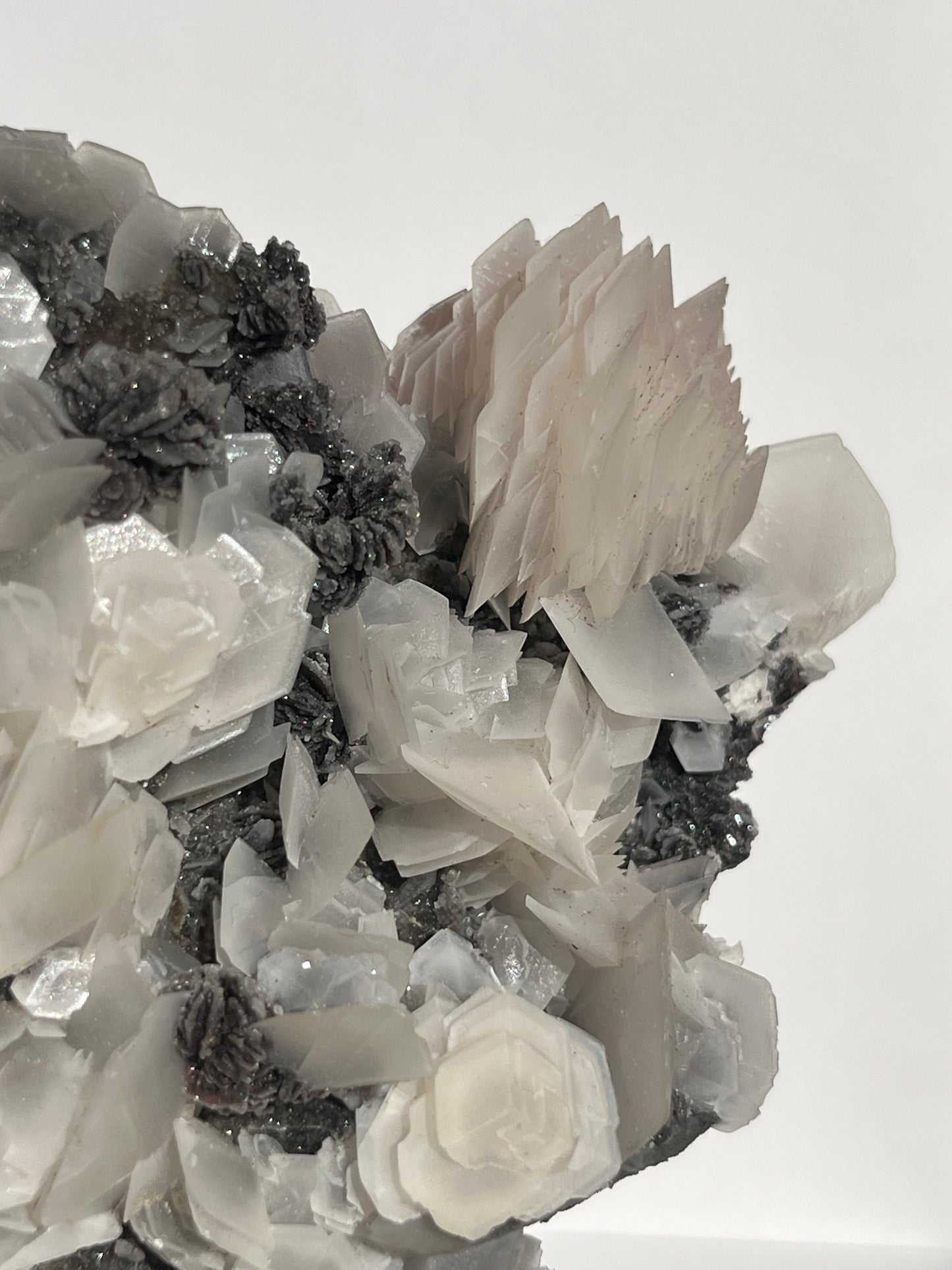 "The Queen of the Night" Pink Sakura Blossom Calcite on Quartz Coated Matrix Specimen with Custom Stand (Collector' Choice)