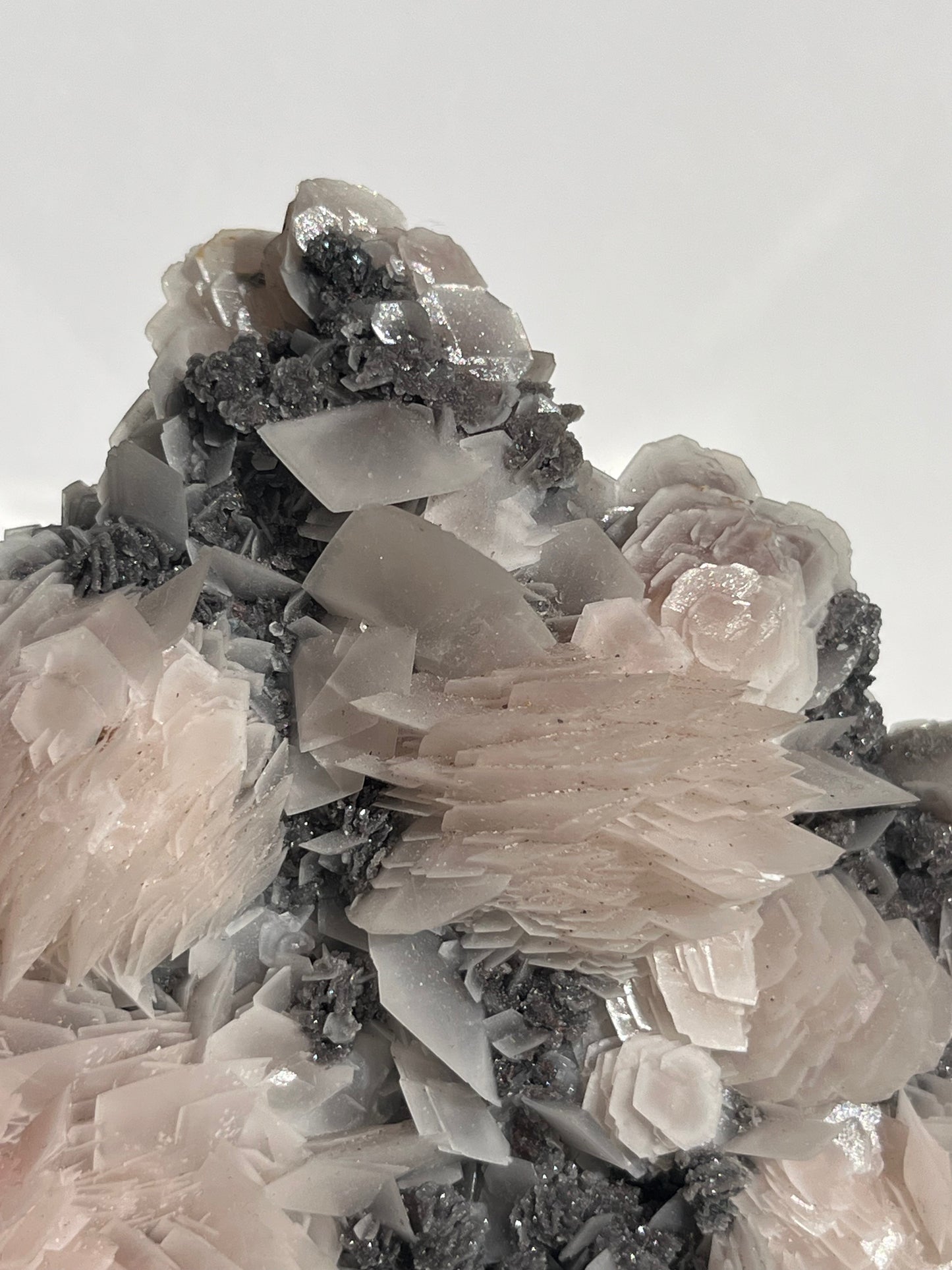 "The Queen of the Night" Pink Sakura Blossom Calcite on Quartz Coated Matrix Specimen with Custom Stand (Collector' Choice)