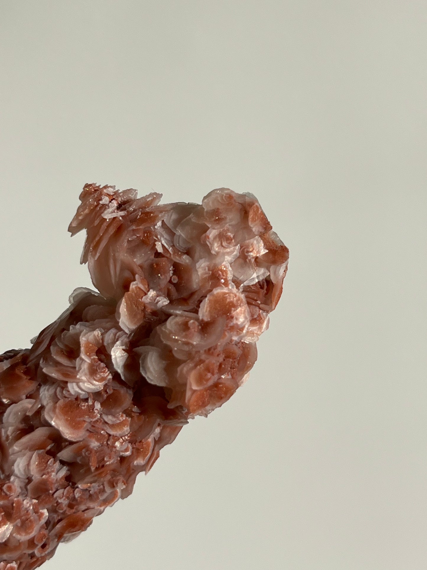 Pink Sakura Blossom Calcite on Quartz Specimen C
