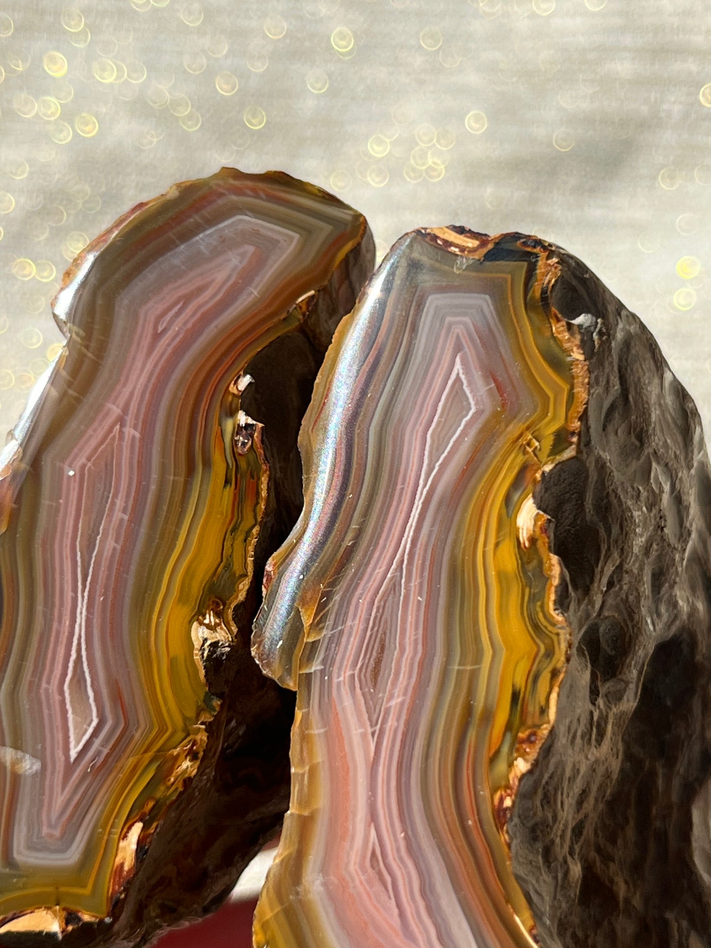 “Roseblush Stratum” Pink West Indonesian Agate Pair A