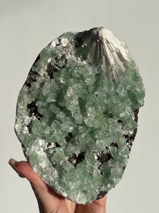 Pointed Green Apophyllite with Scolecite Spray Specimen A