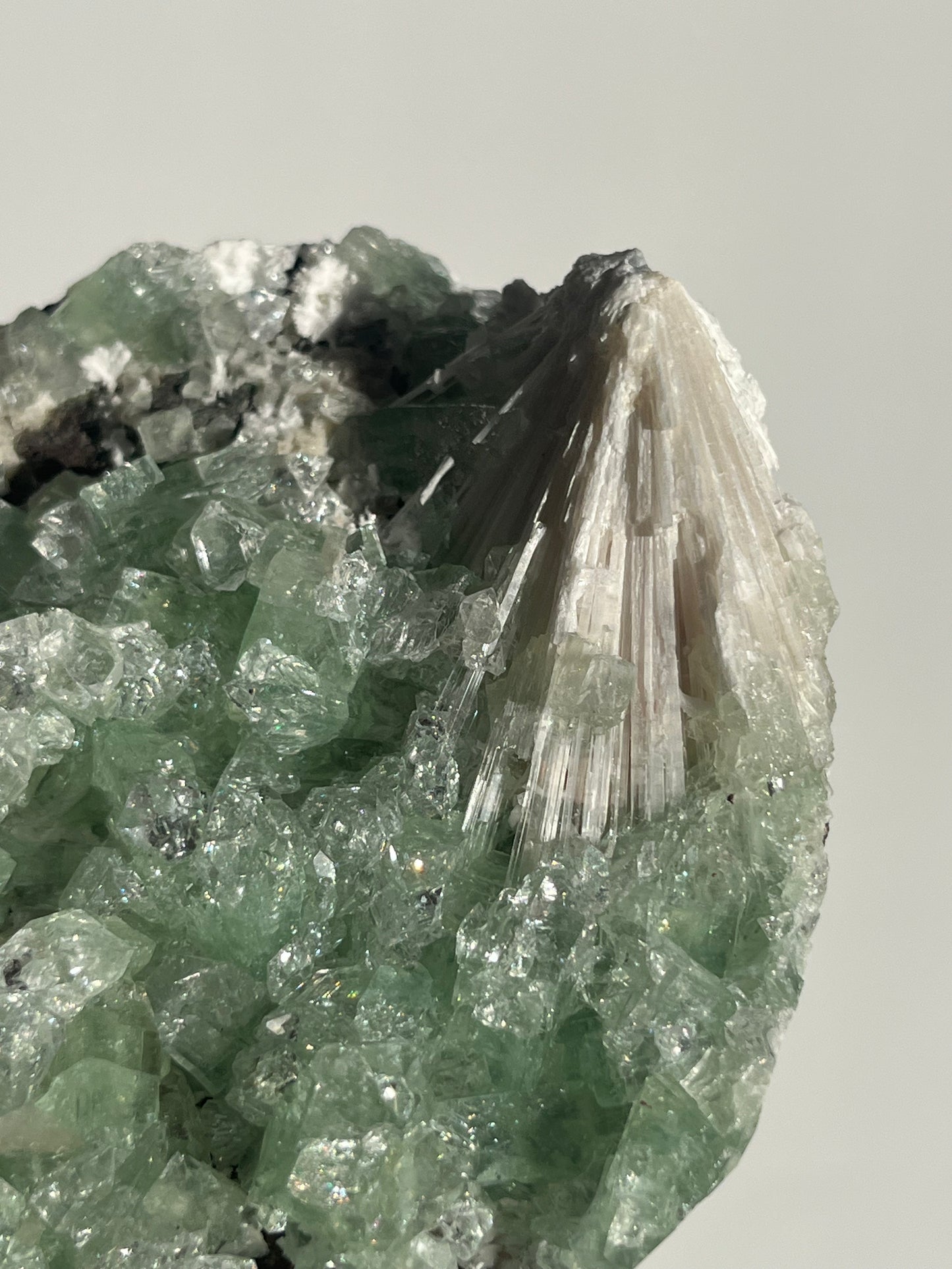 Pointed Green Apophyllite with Scolecite Spray Specimen A