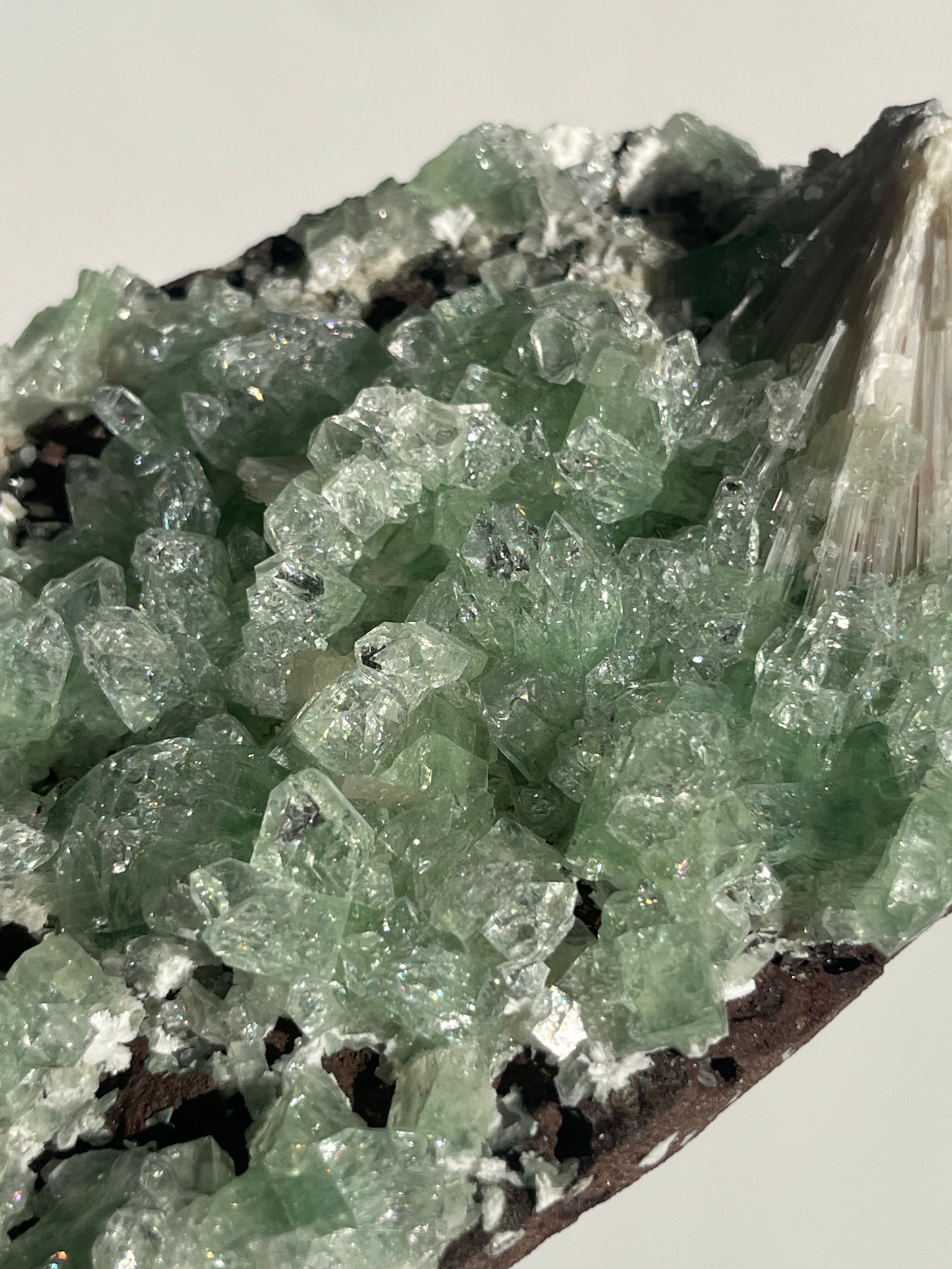 Pointed Green Apophyllite with Scolecite Spray Specimen A