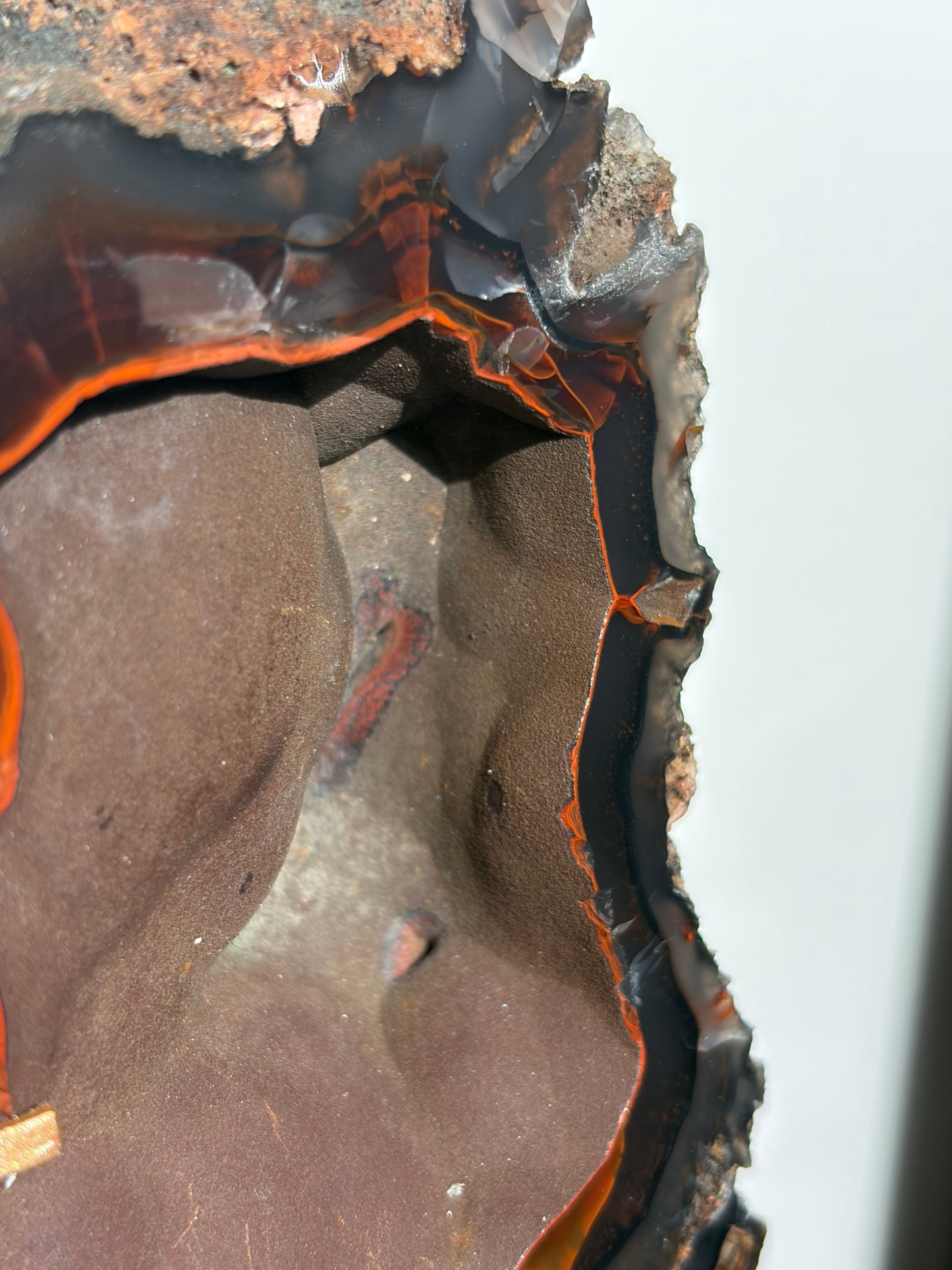 "Roux" Red Fox Agate on Custom Swivel Display Stand B