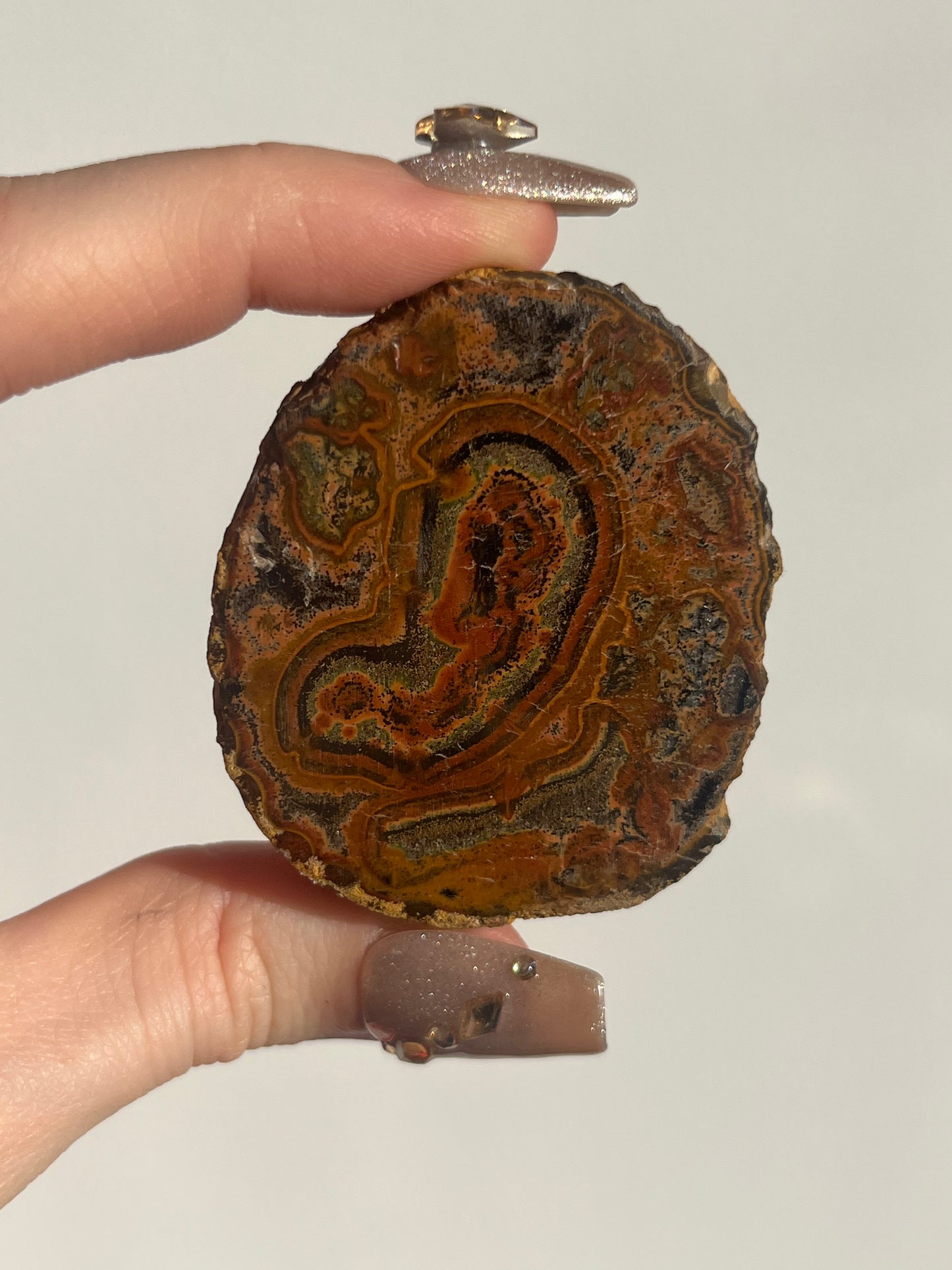East Indonesian Red Jasper Nodule with Hematite Inclusions