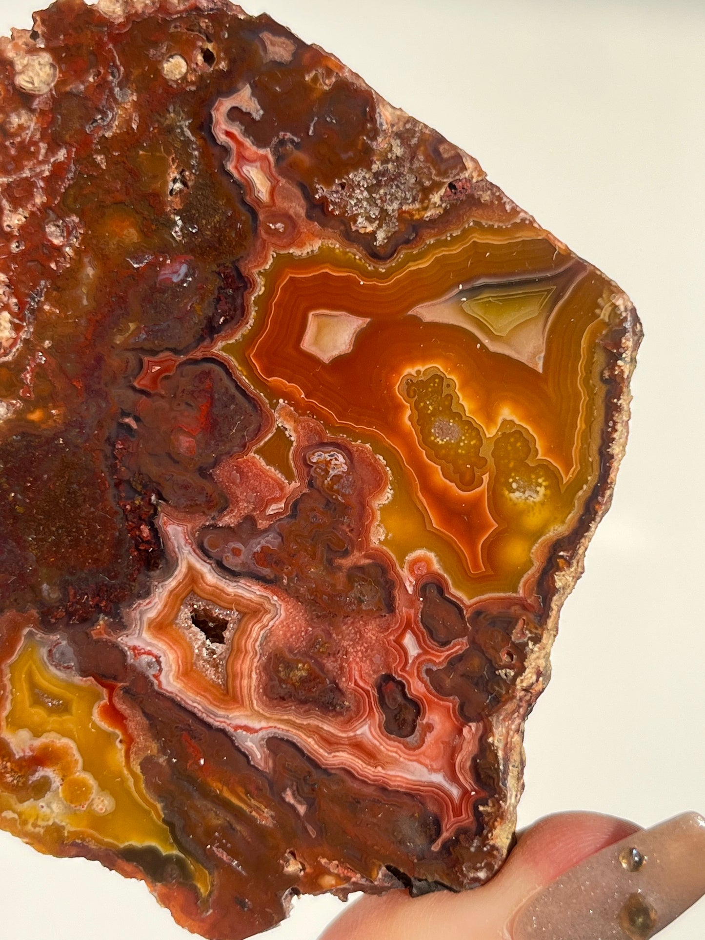 ‘Golden Hearth’ Red-Orange Laguna Agate Slab with Parallax Effect