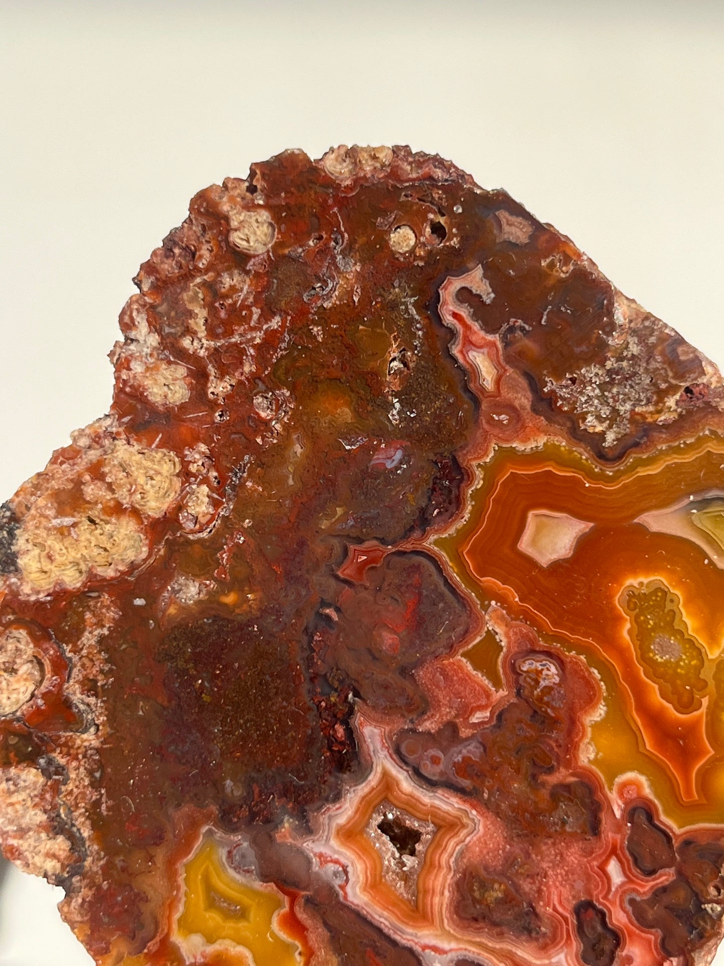 ‘Golden Hearth’ Red-Orange Laguna Agate Slab with Parallax Effect