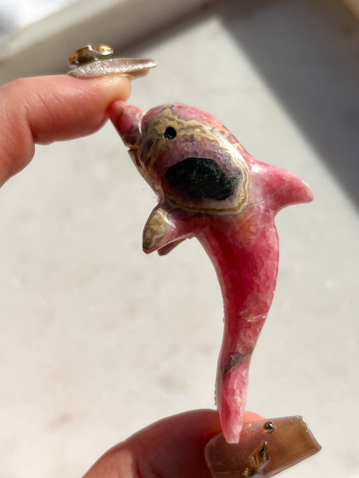 'Poppy' Gemmy Rhodochrosite Dolphin Carving #2 (Repair)