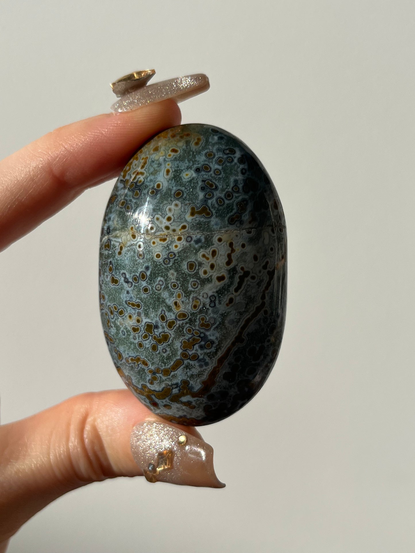 River Jasper Palmstone F