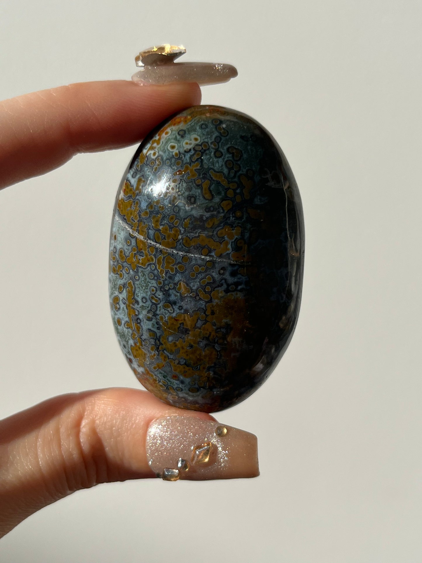 River Jasper Palmstone F