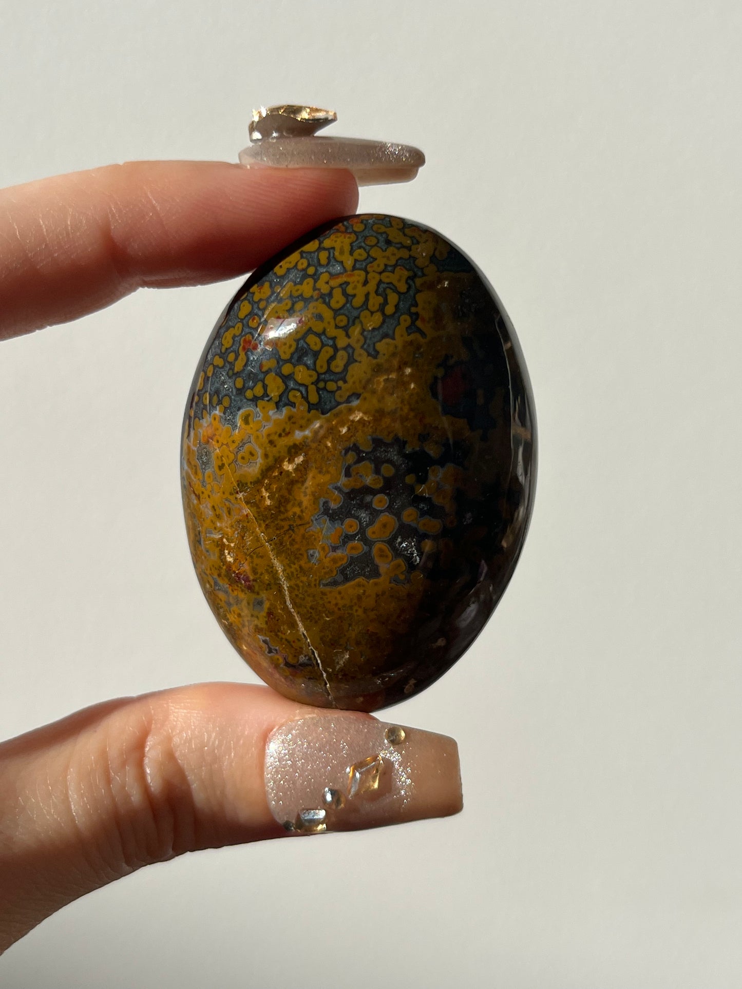 River Jasper Palmstone H
