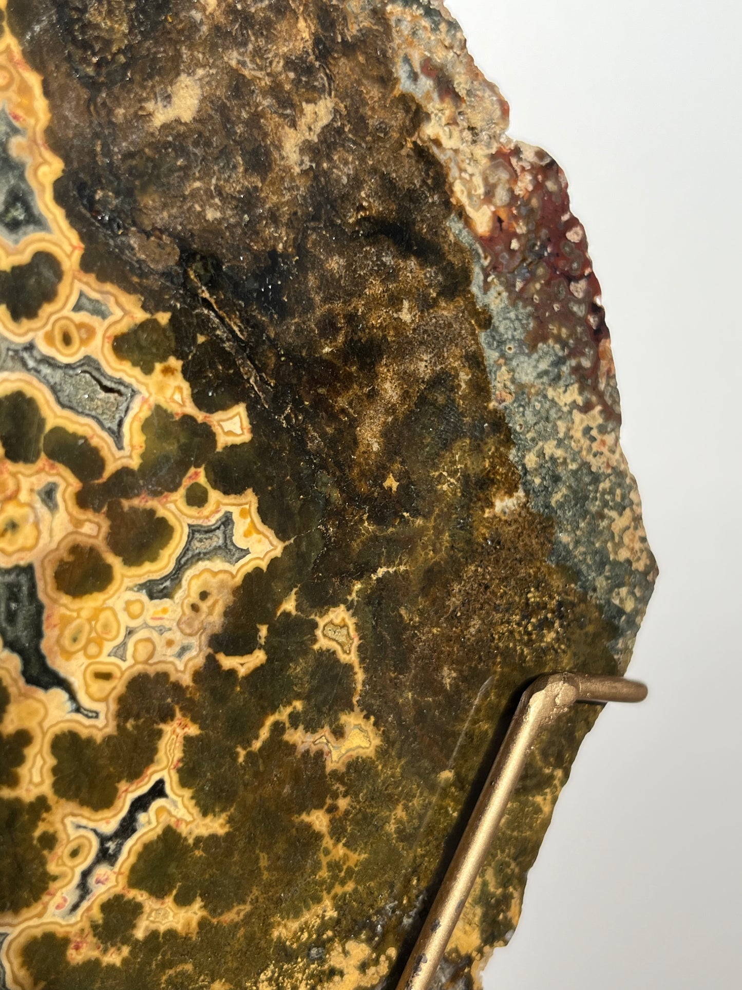 Multicoloured River Jasper Slab with Dendritic Inclusions on Rotating Gold Coloured Stand