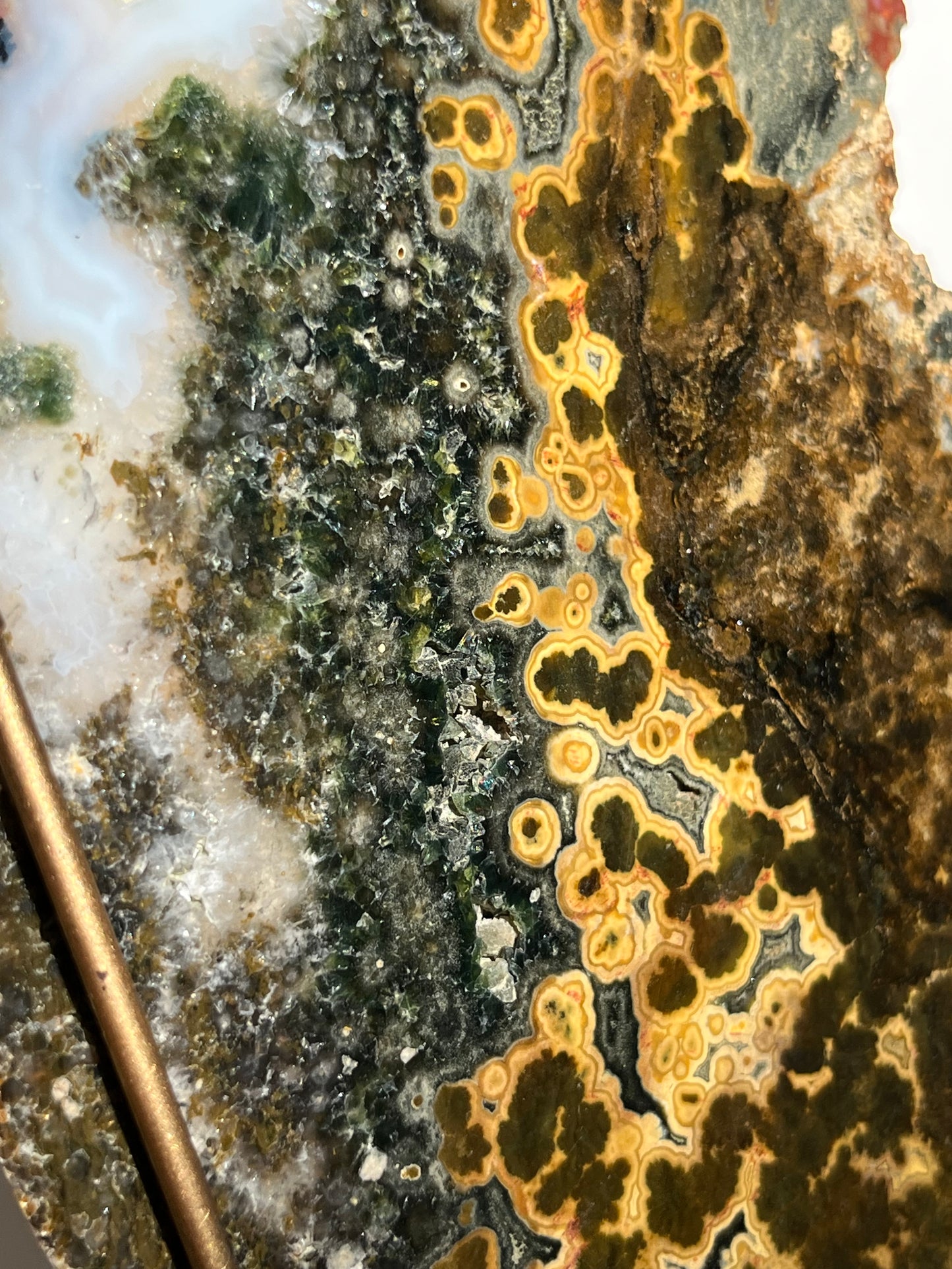 Multicoloured River Jasper Slab with Dendritic Inclusions on Rotating Gold Coloured Stand