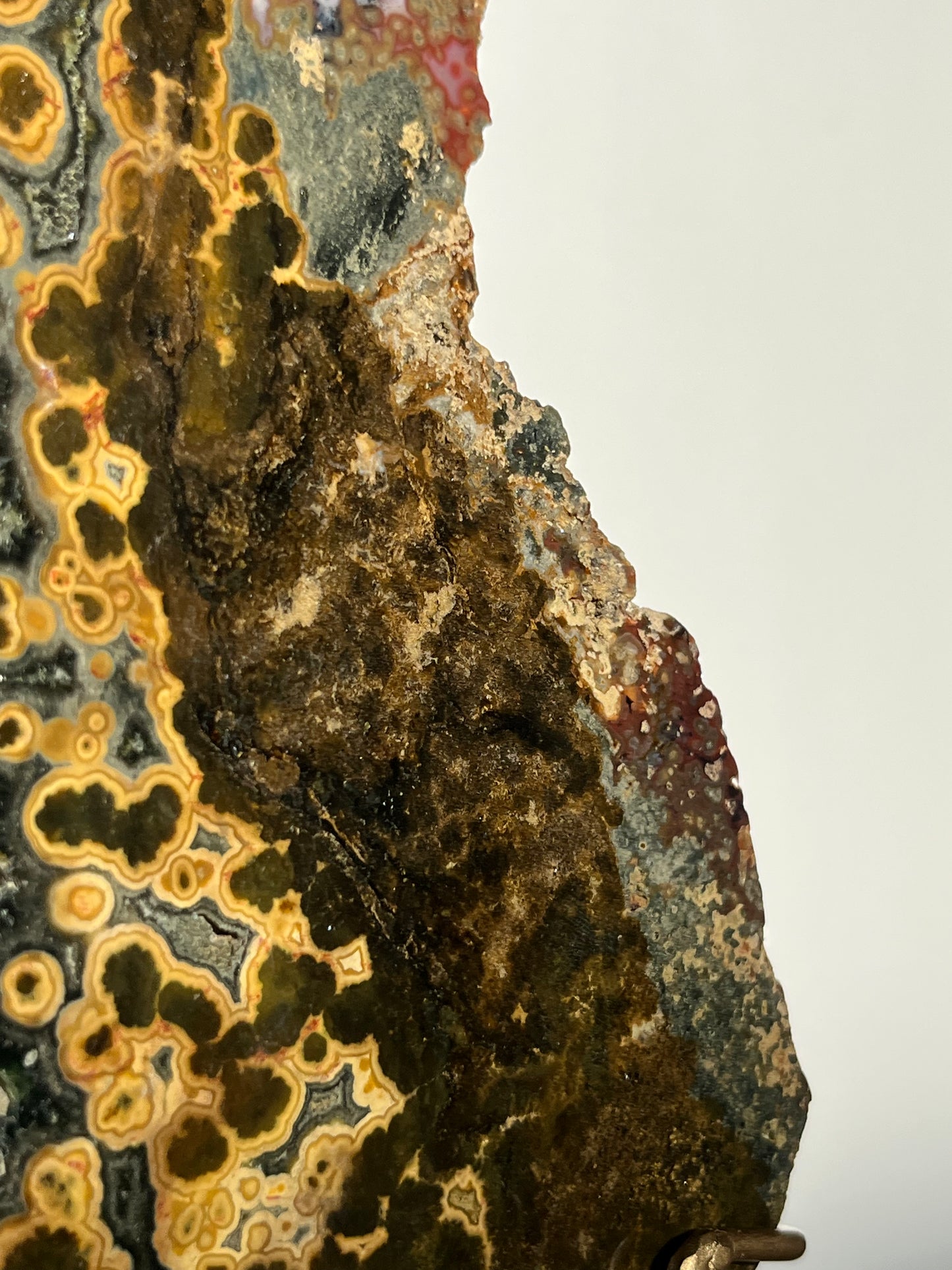 Multicoloured River Jasper Slab with Dendritic Inclusions on Rotating Gold Coloured Stand