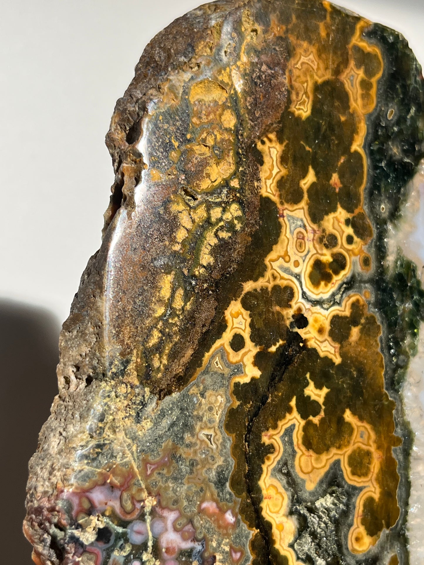 Multicoloured River Jasper Slab with Dendritic Inclusions on Rotating Gold Coloured Stand