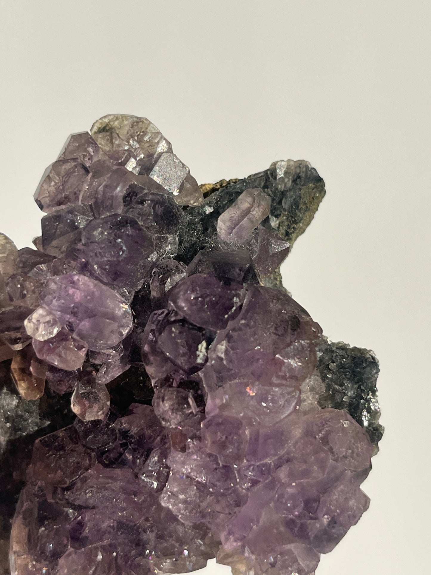 Sceptre Amethyst on Matrix Specimen C (Collector’s Choice)