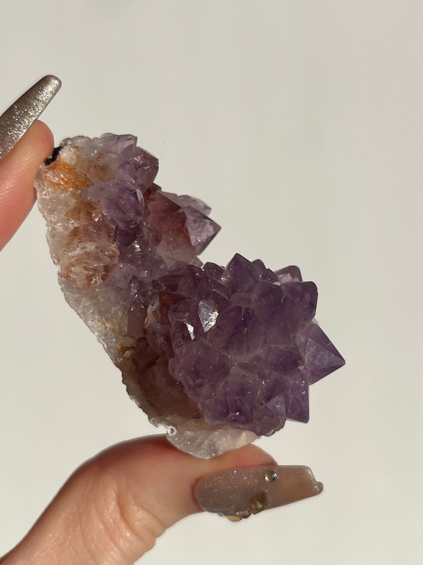 Amethyst Rose Specimen E