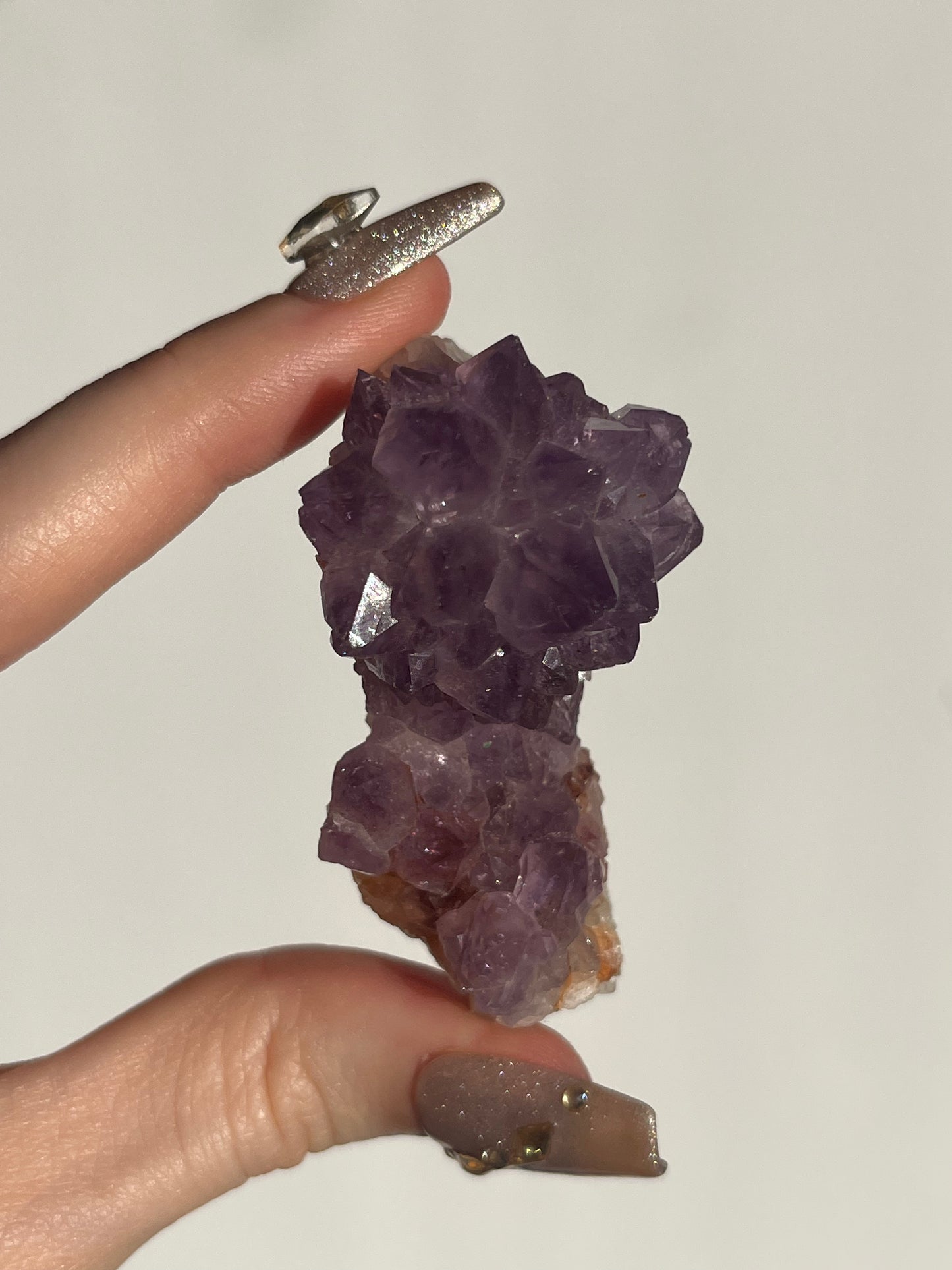 Amethyst Rose Specimen E