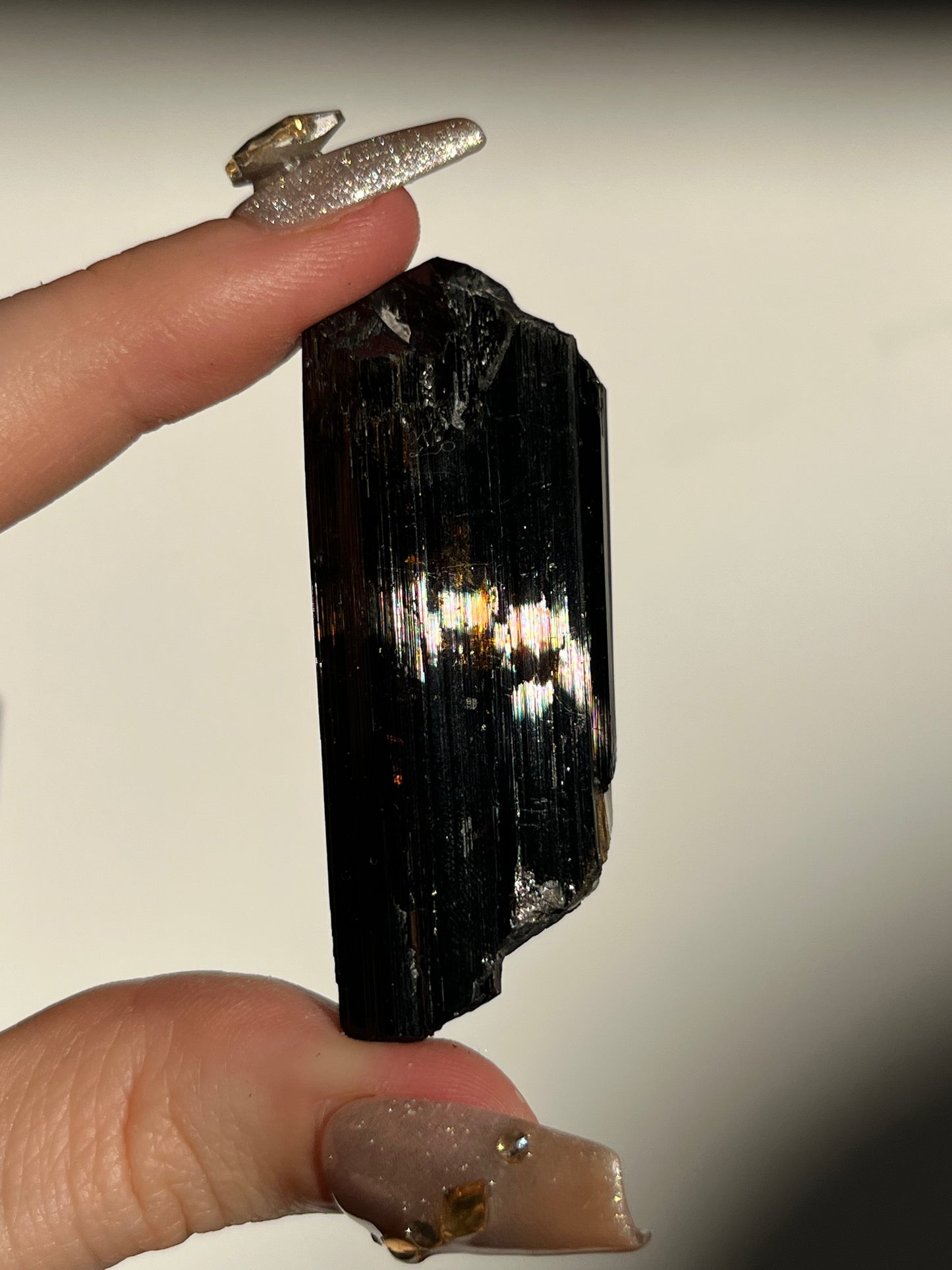 Dravite and Black Schorl Tourmaline with Muscovite Specimen B