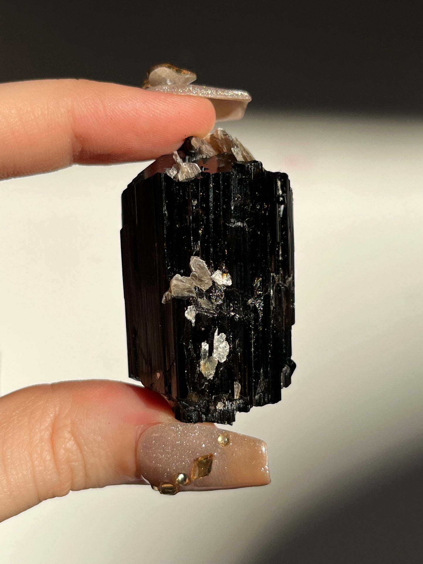 Dravite and Black Schorl Tourmaline with Muscovite Specimen D