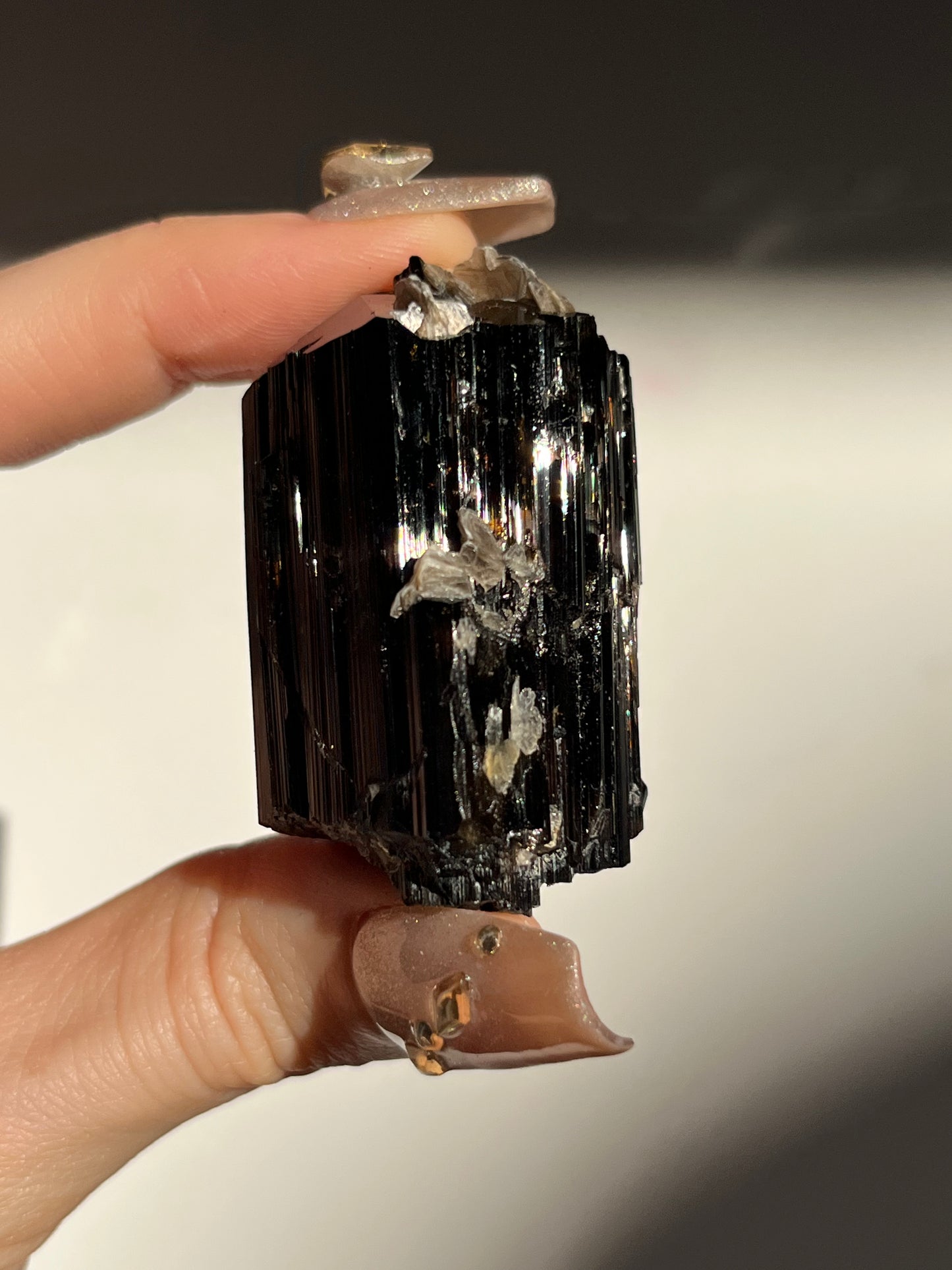 Dravite and Black Schorl Tourmaline with Muscovite Specimen D