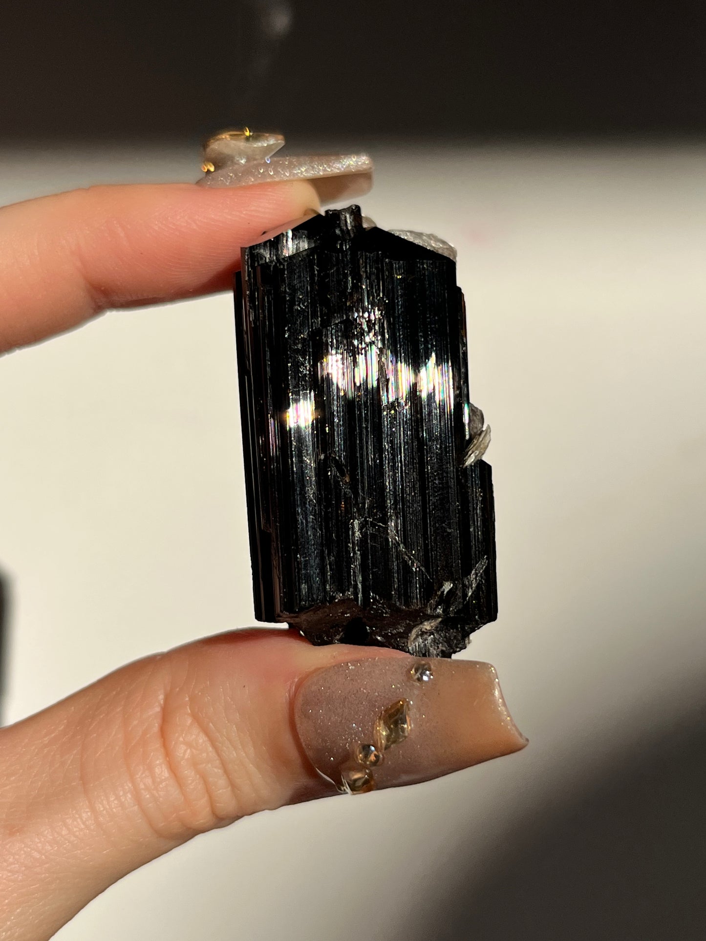 Dravite and Black Schorl Tourmaline with Muscovite Specimen D