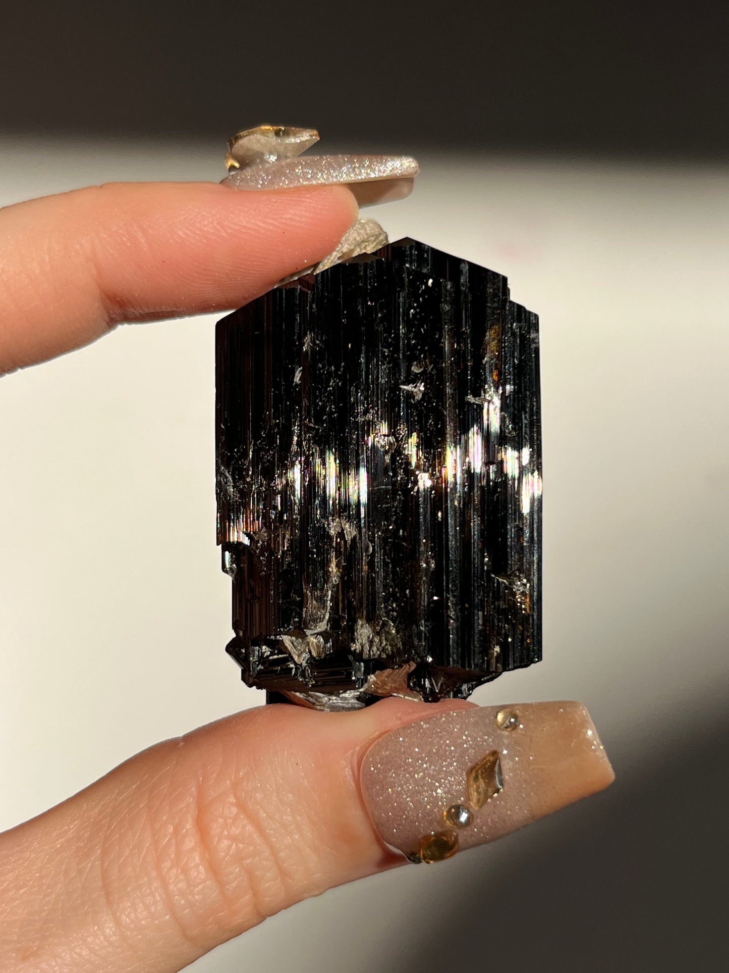 Dravite and Black Schorl Tourmaline with Muscovite Specimen D