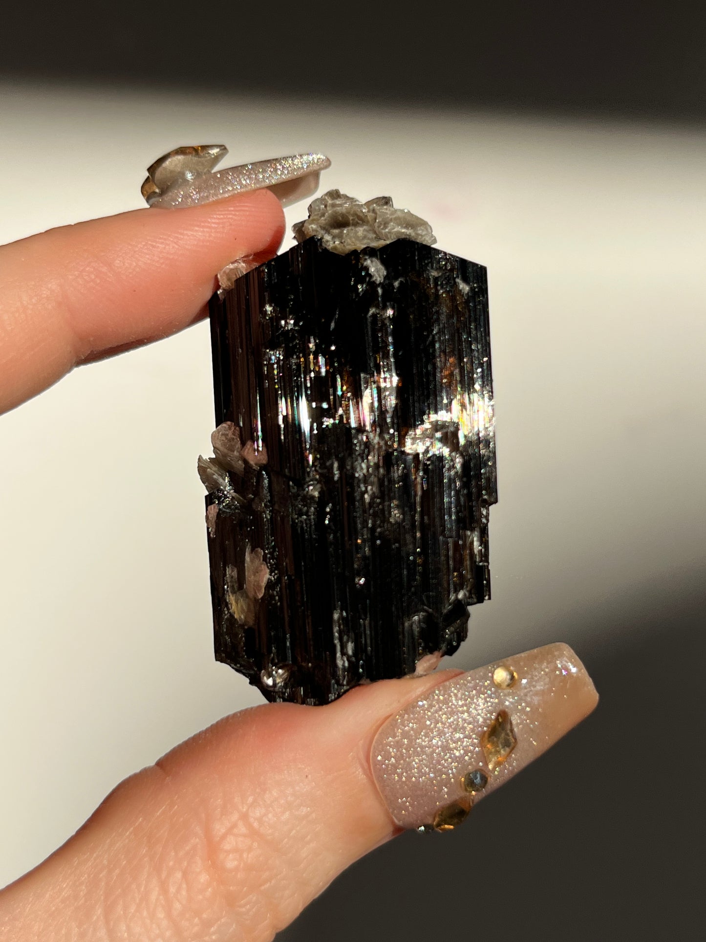 Dravite and Black Schorl Tourmaline with Muscovite Specimen D