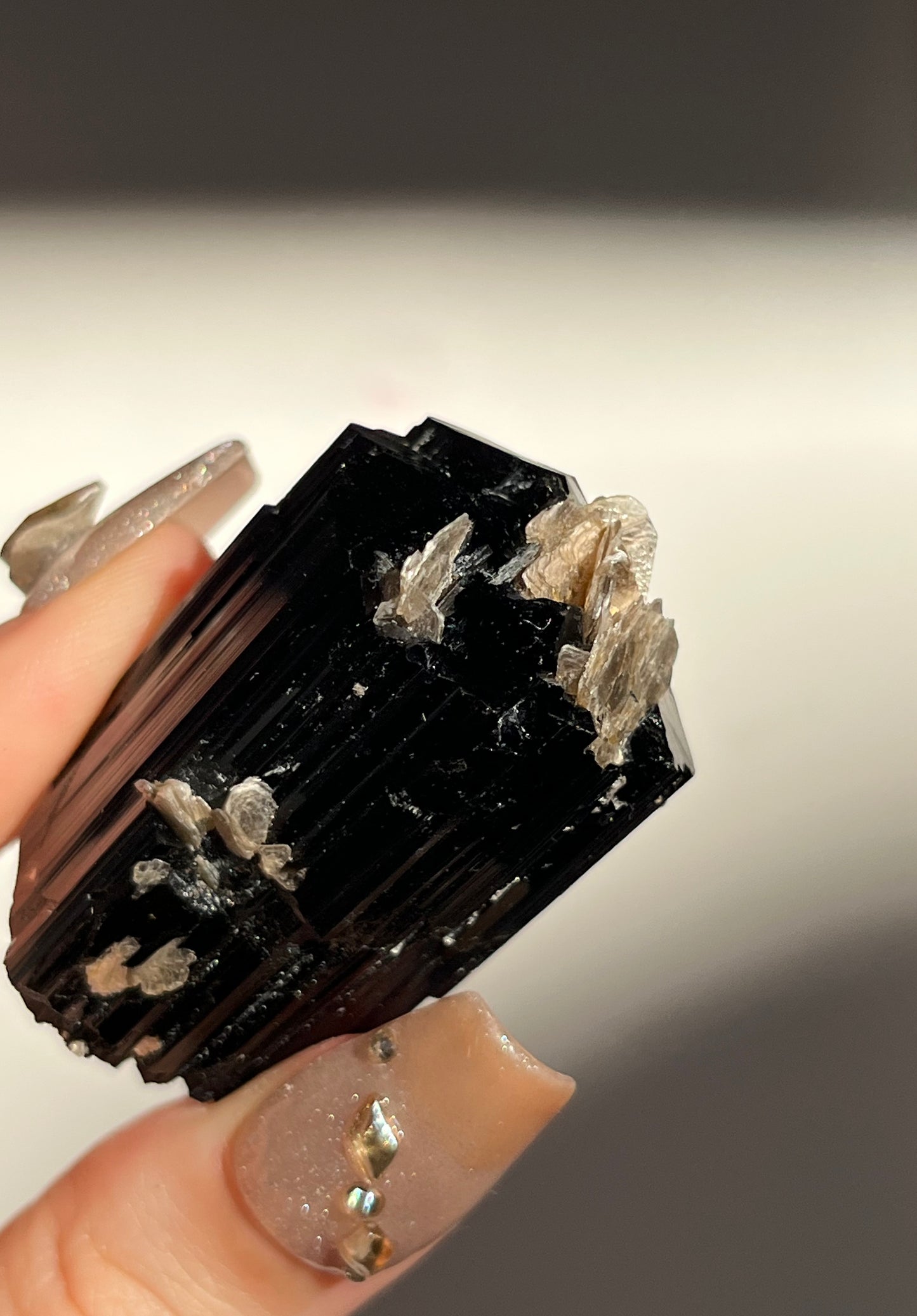 Dravite and Black Schorl Tourmaline with Muscovite Specimen D