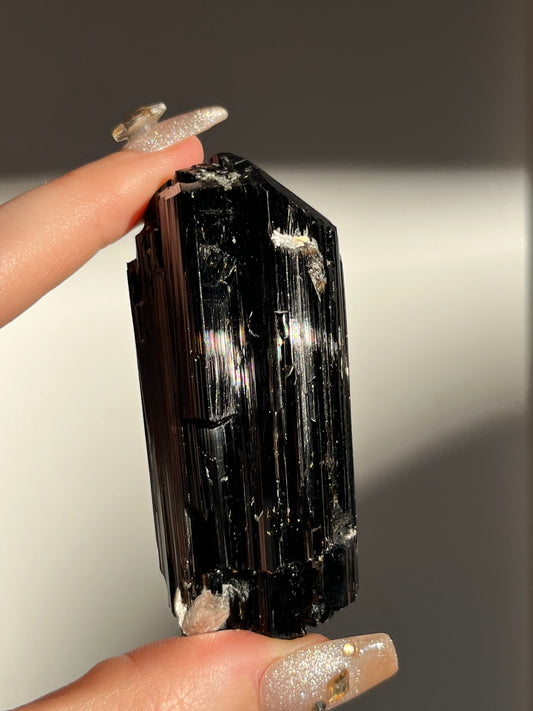 Dravite and Black Schorl Tourmaline with Muscovite Specimen E
