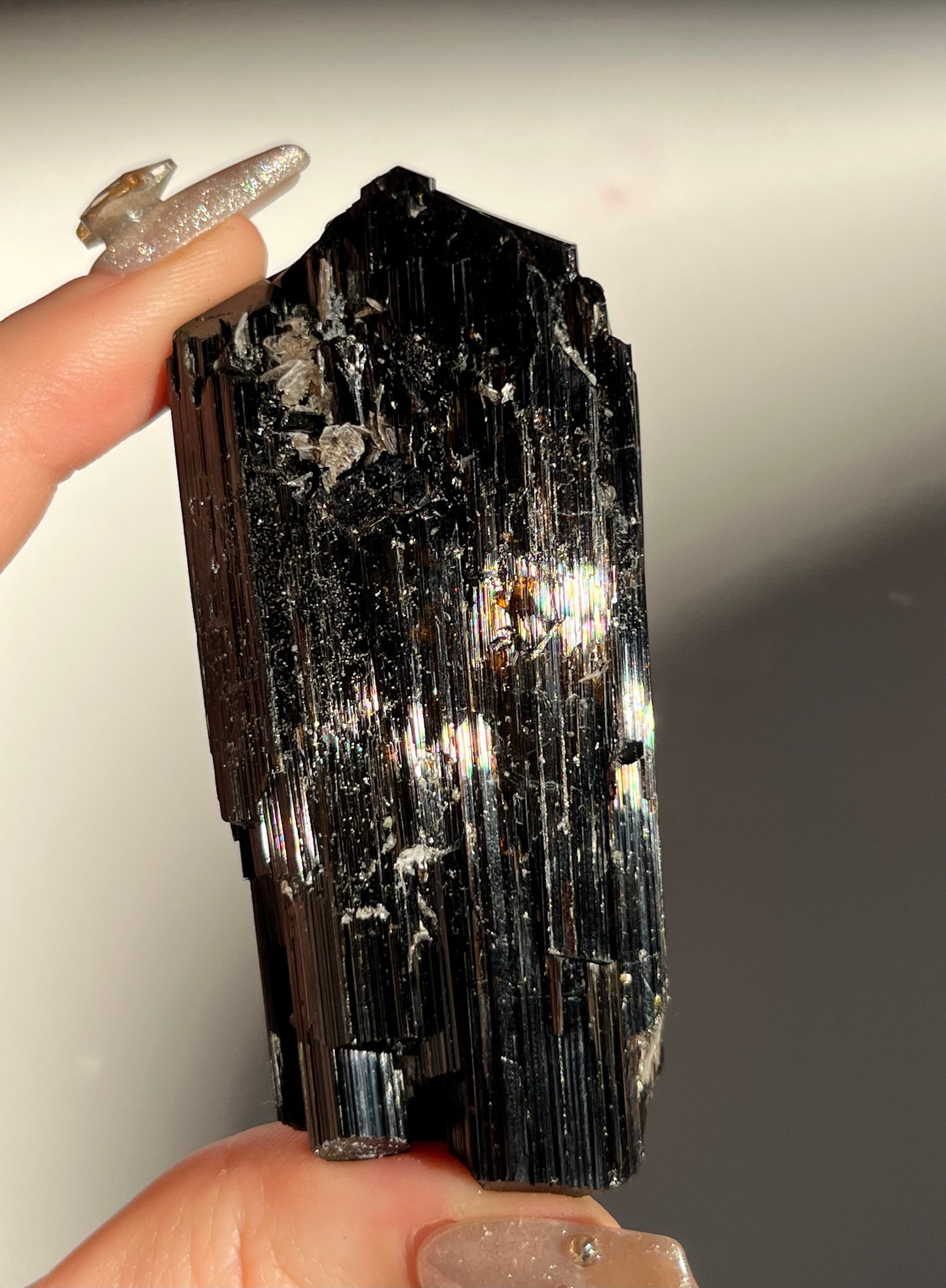 Dravite and Black Schorl Tourmaline with Muscovite Specimen E