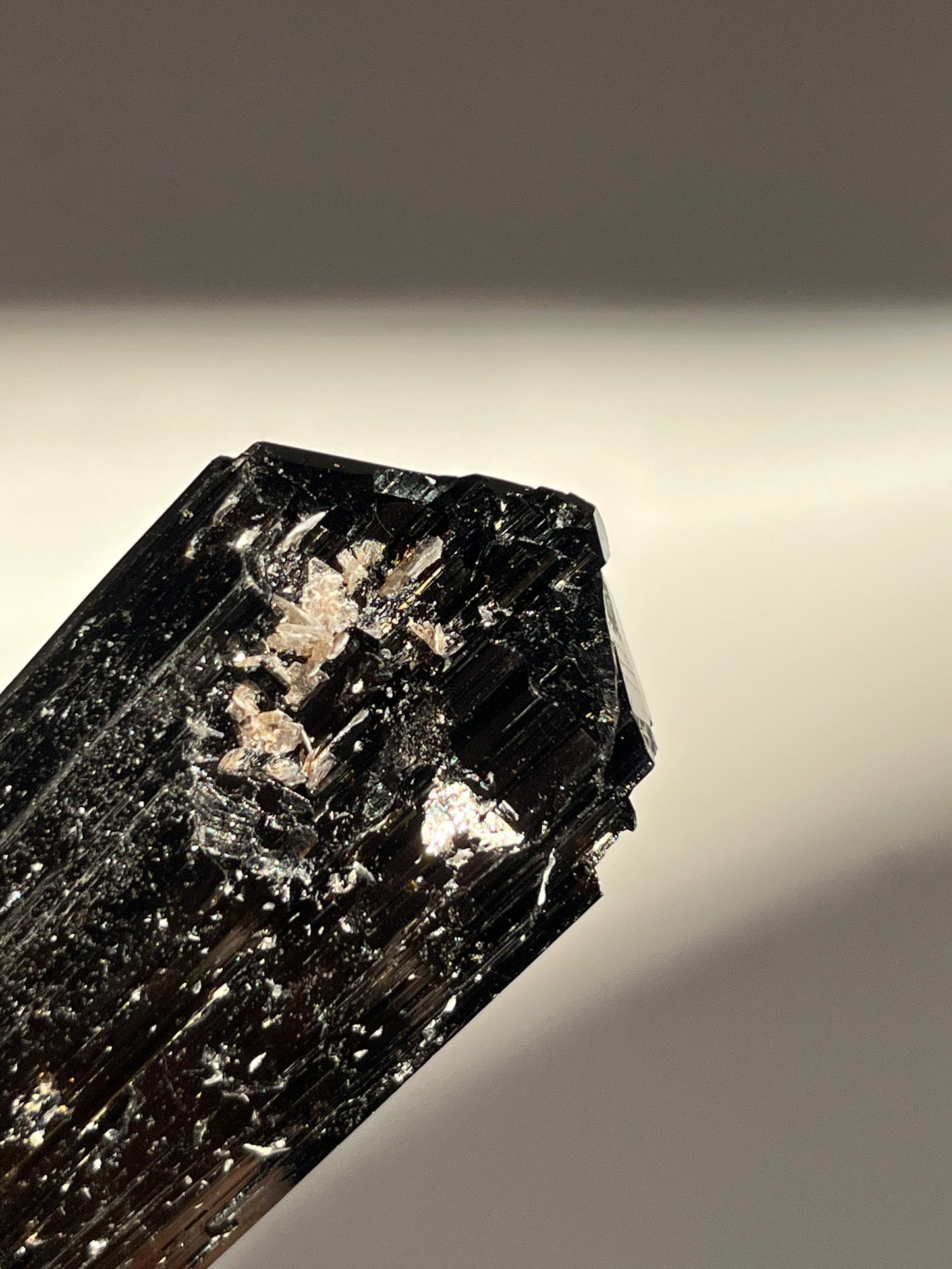 Dravite and Black Schorl Tourmaline with Muscovite Specimen E
