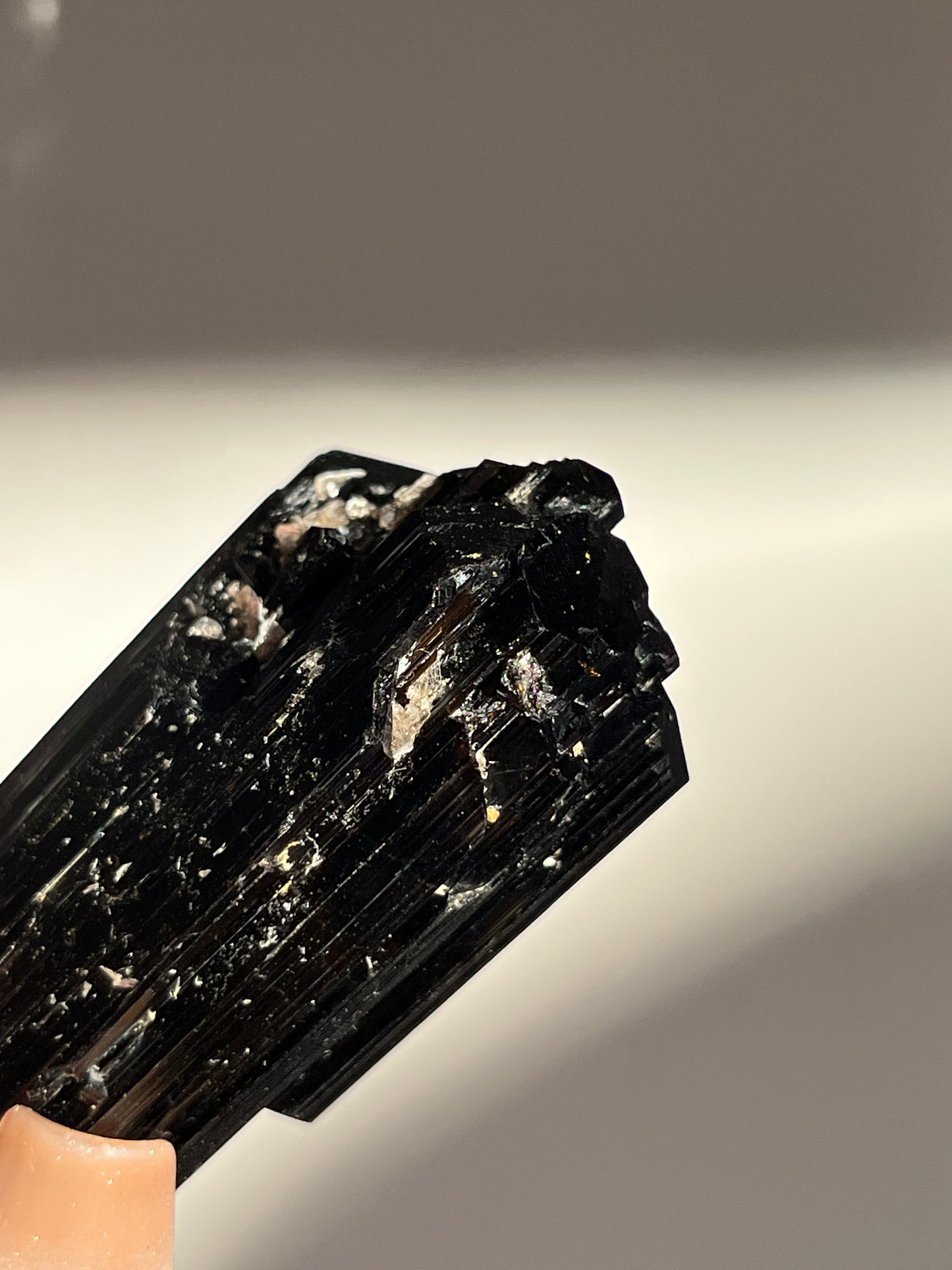 Dravite and Black Schorl Tourmaline with Muscovite Specimen E