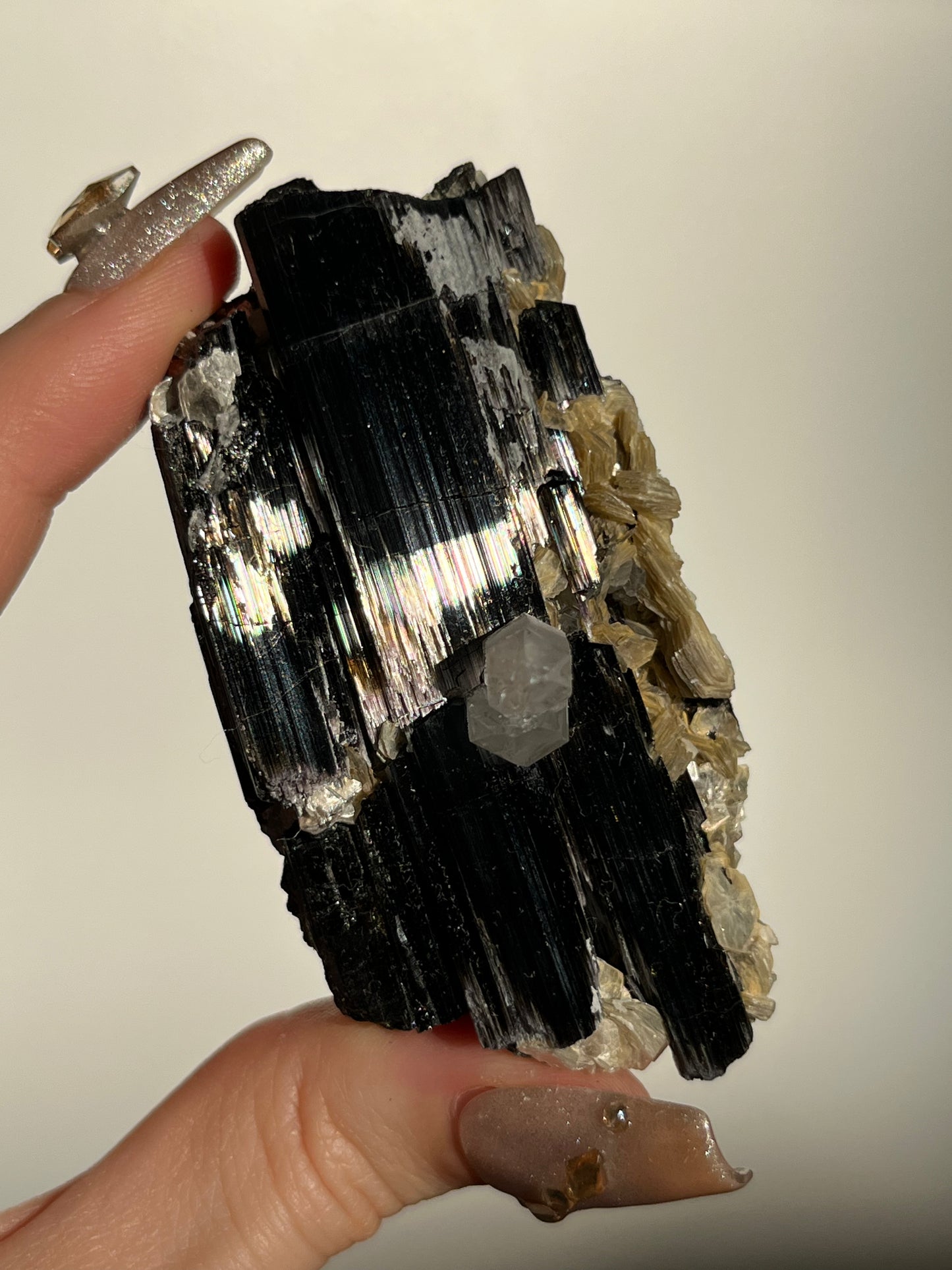 Black Schorl Tourmaline with Quartz and Muscovite Specimen G