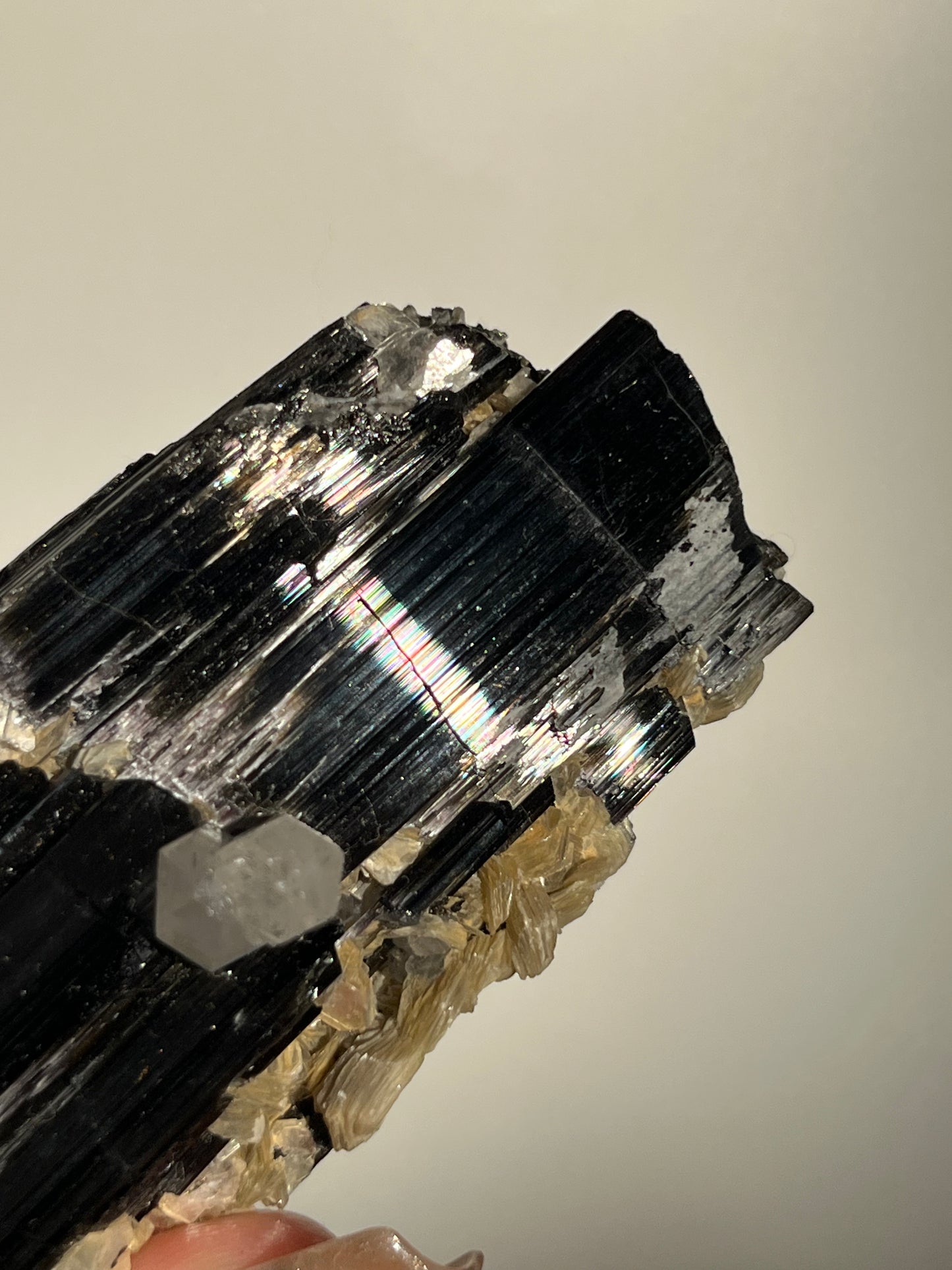 Black Schorl Tourmaline with Quartz and Muscovite Specimen G