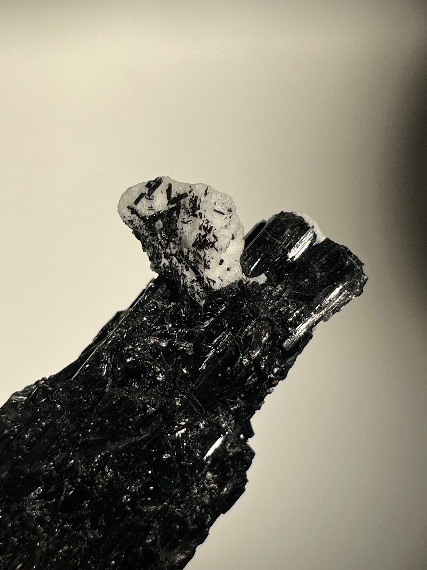 Black Schorl Tourmaline with Feldspar Specimen H