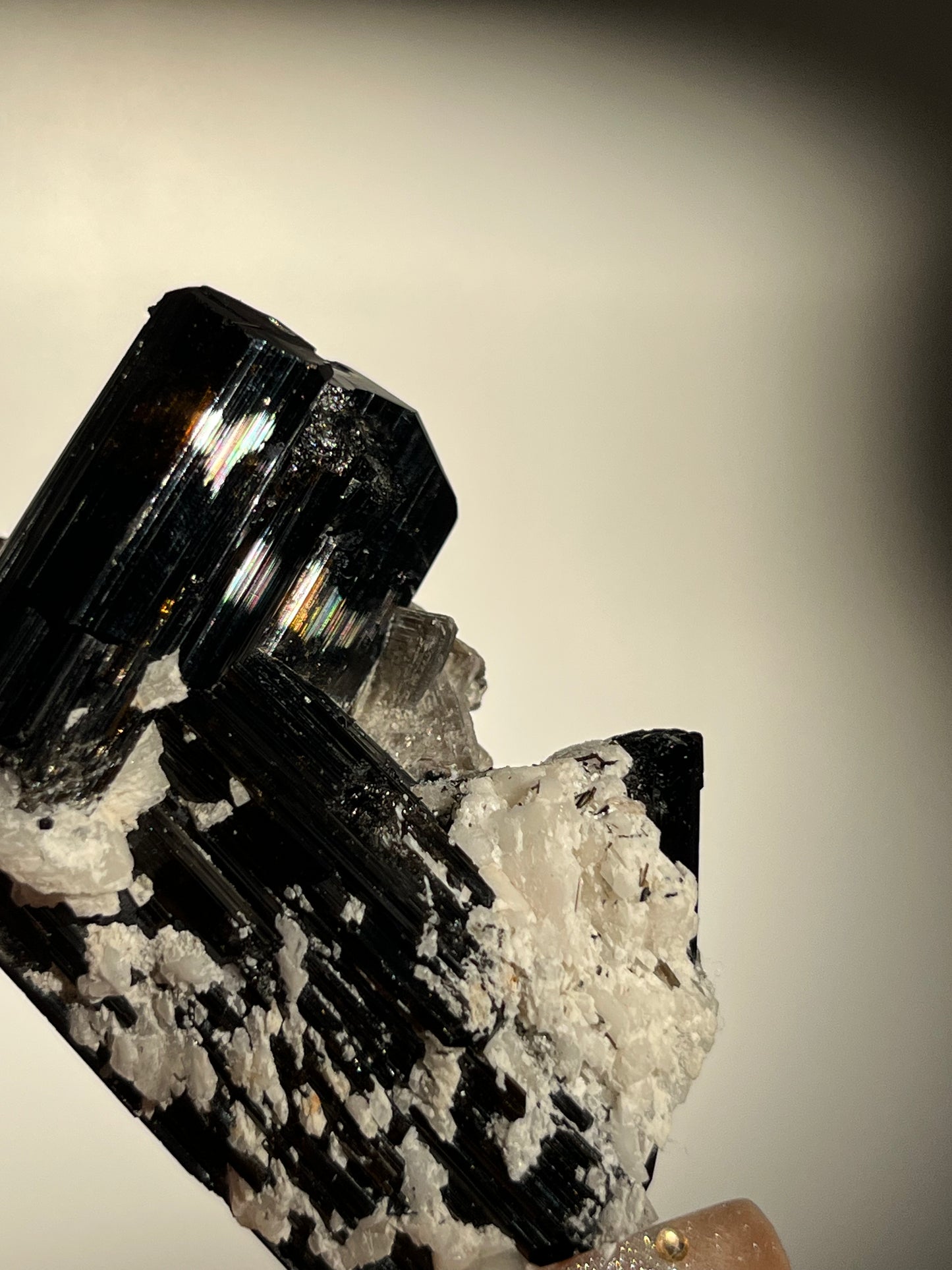 Dravite and Black Schorl Tourmaline with Muscovite and Feldspar Specimen I