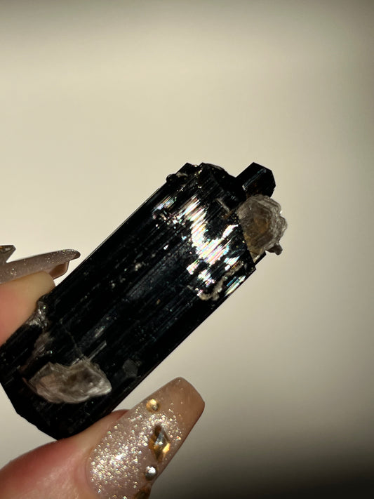 Dravite and Black Schorl Tourmaline Specimen J