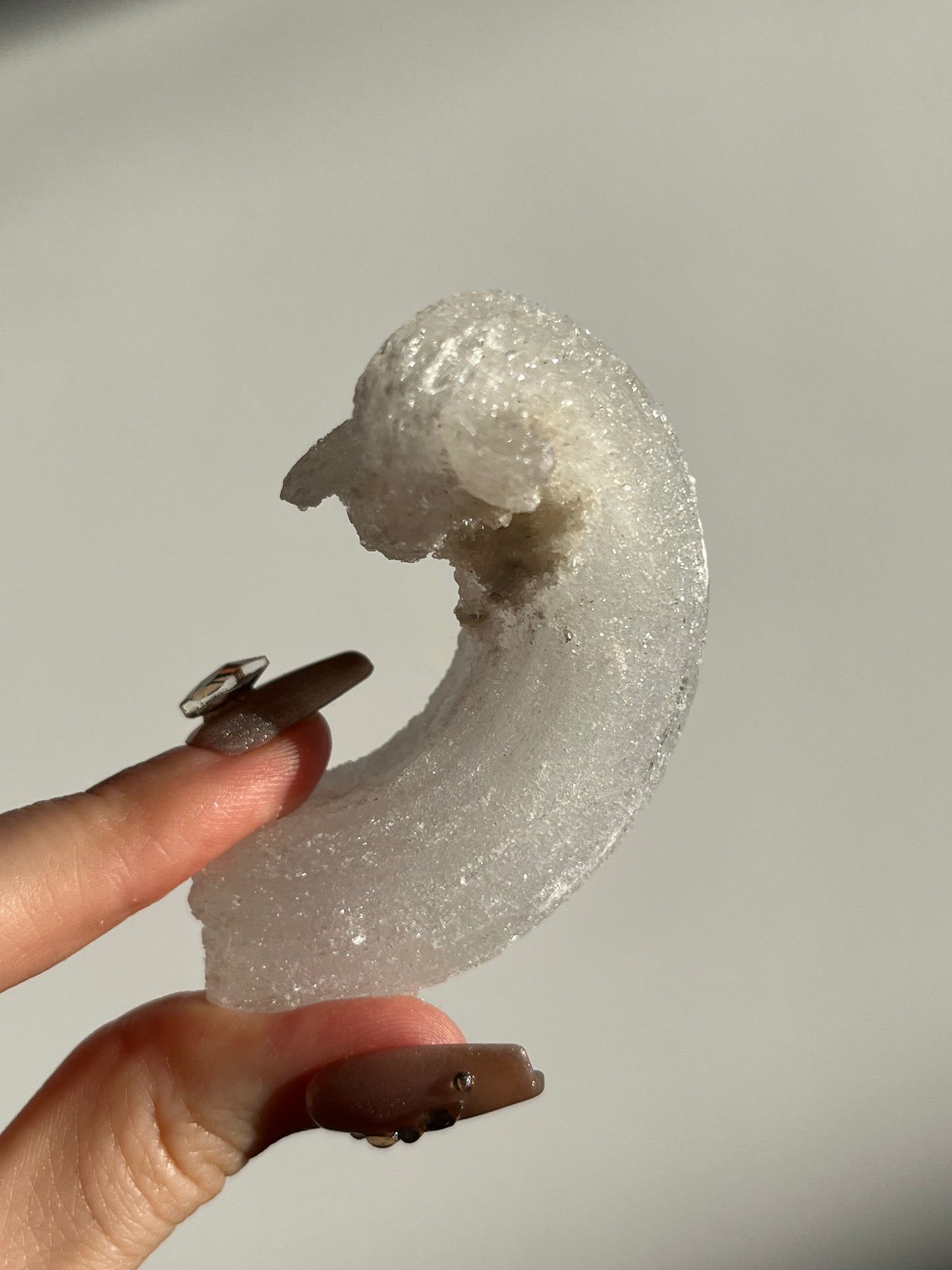 Selenite Horn Specimen B